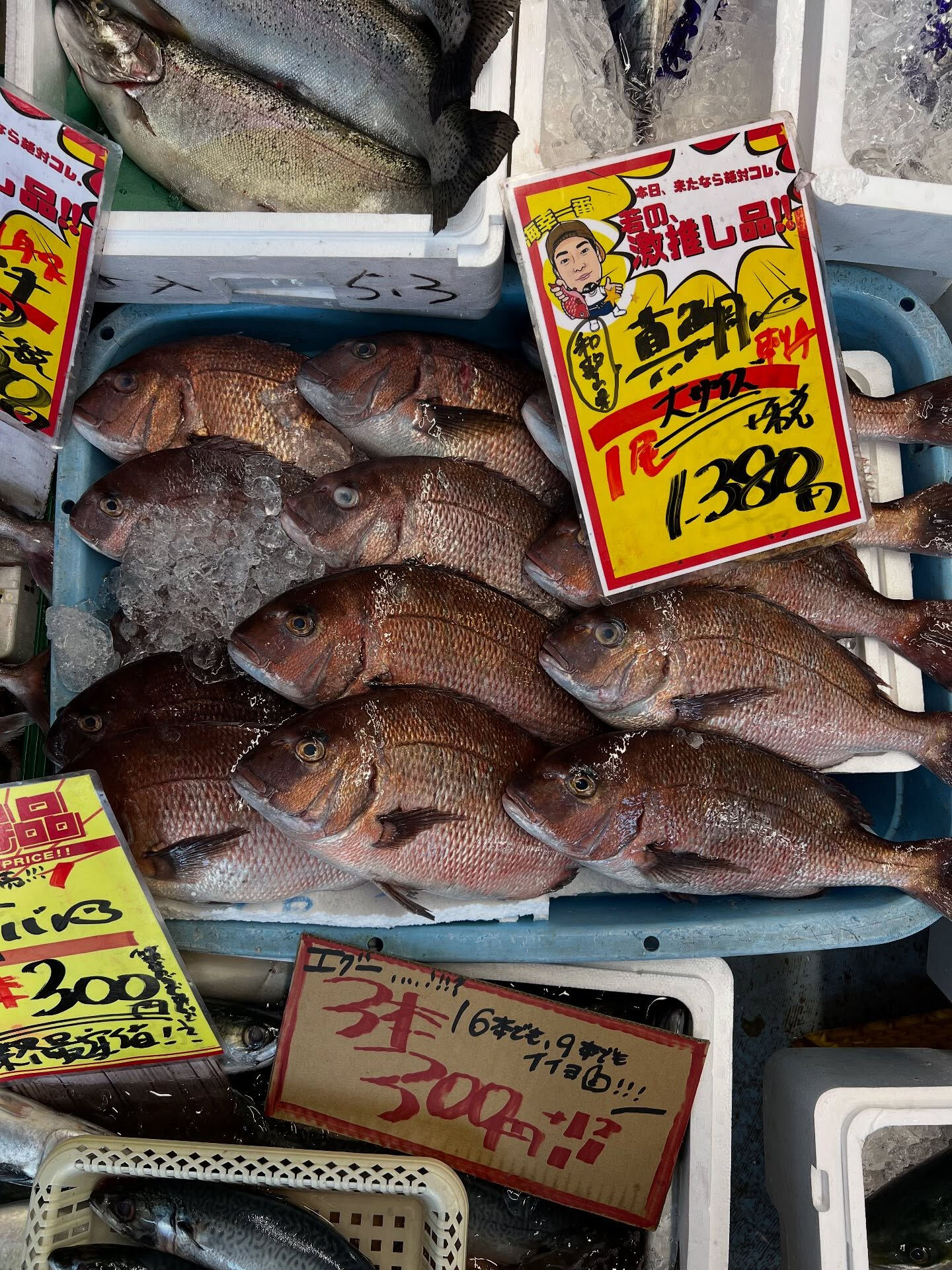 本日、日曜日も沢山の方ご来店頂き感謝です🙏