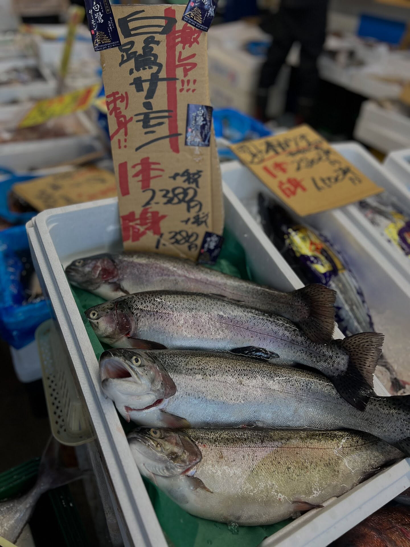 本日、日曜日も沢山の方ご来店頂き感謝です🙏