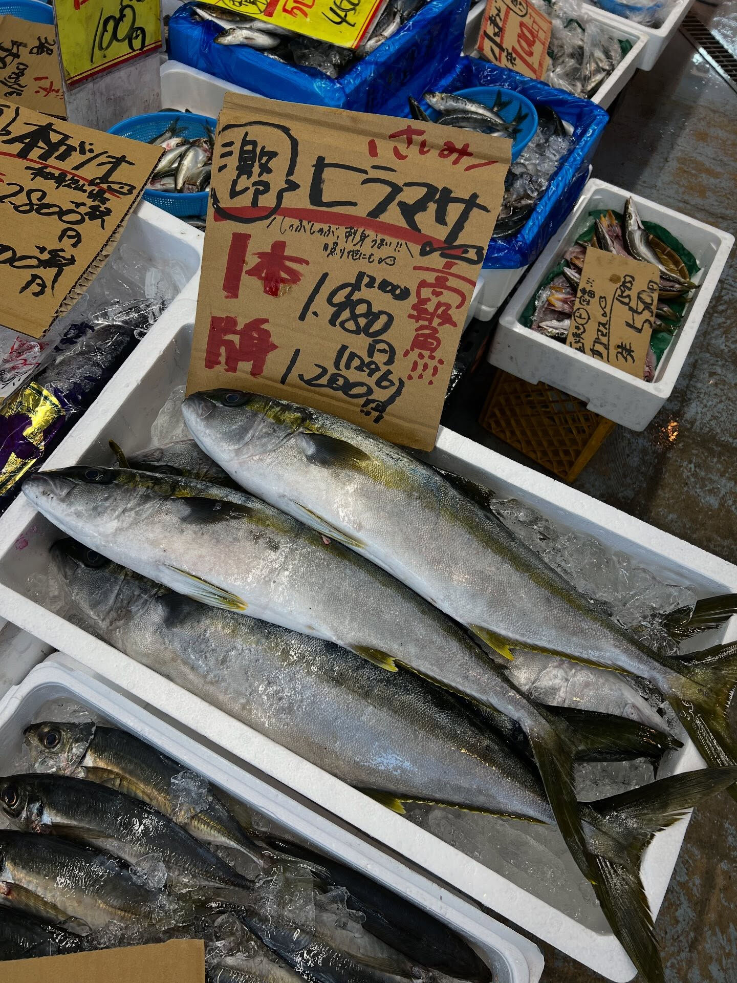 本日、日曜日も沢山の方ご来店頂き感謝です🙏