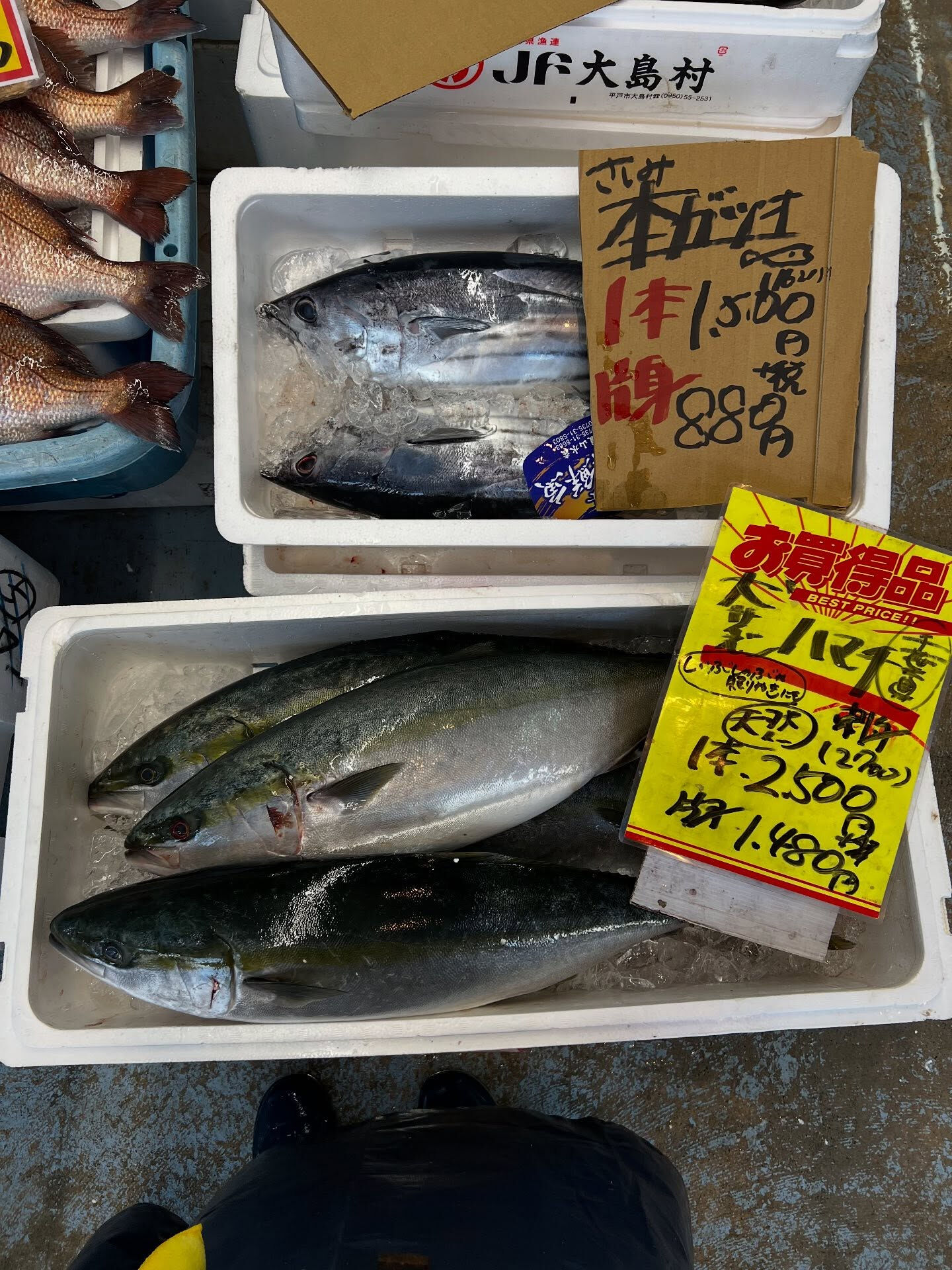 本日、日曜日も沢山の方ご来店頂き感謝です🙏