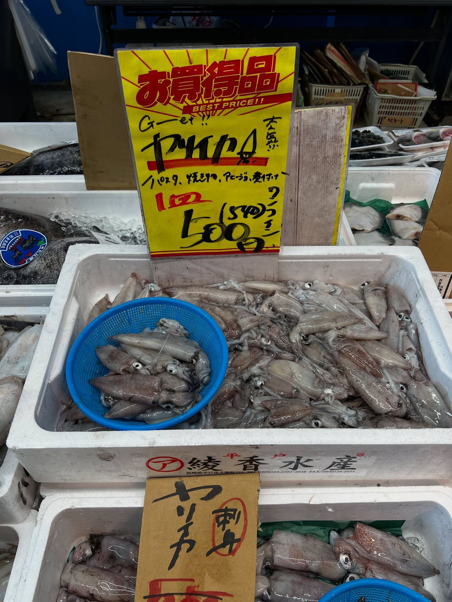 本日、日曜日も沢山の方ご来店頂き感謝です🙏