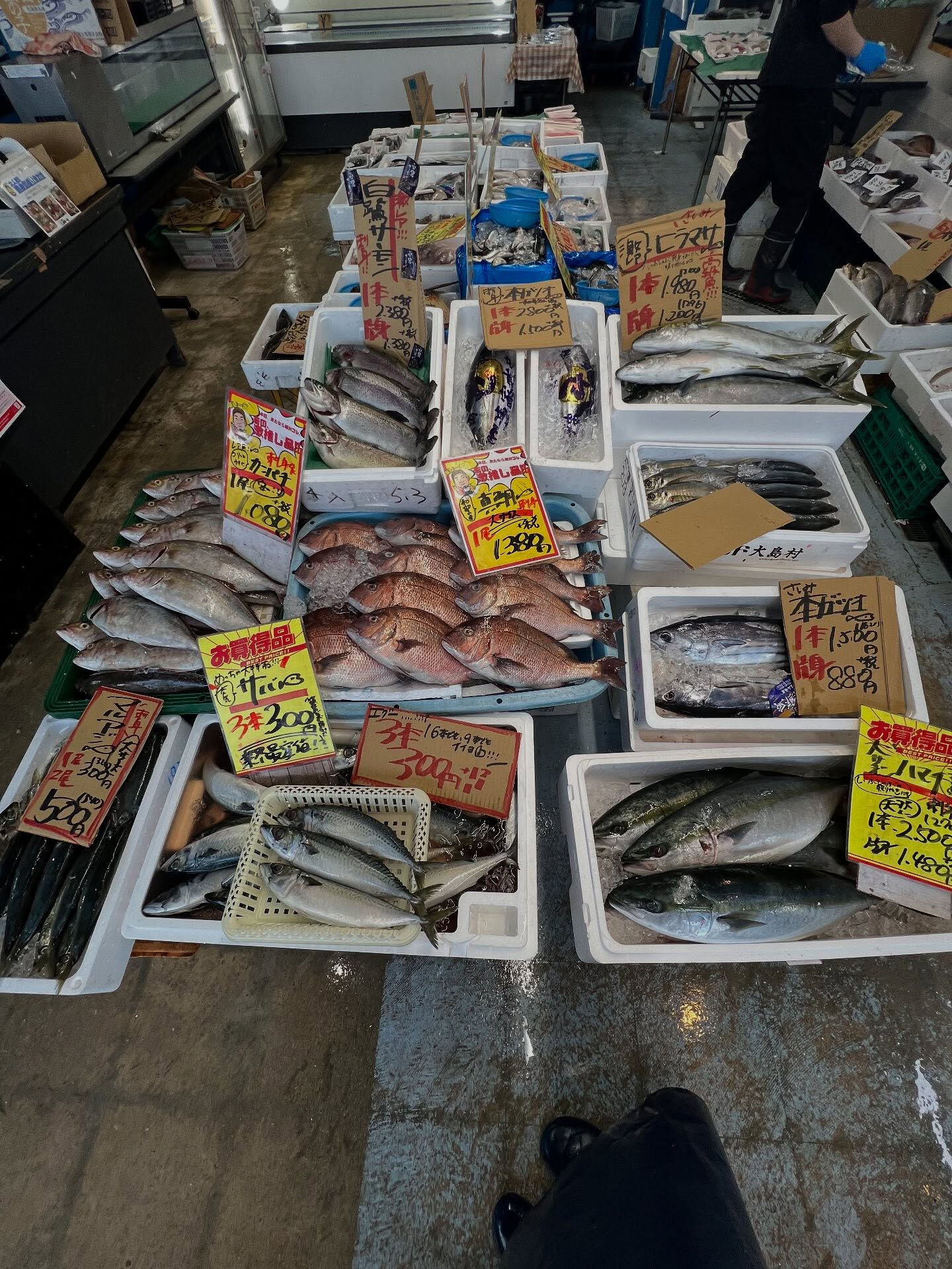 本日、日曜日も沢山の方ご来店頂き感謝です🙏
