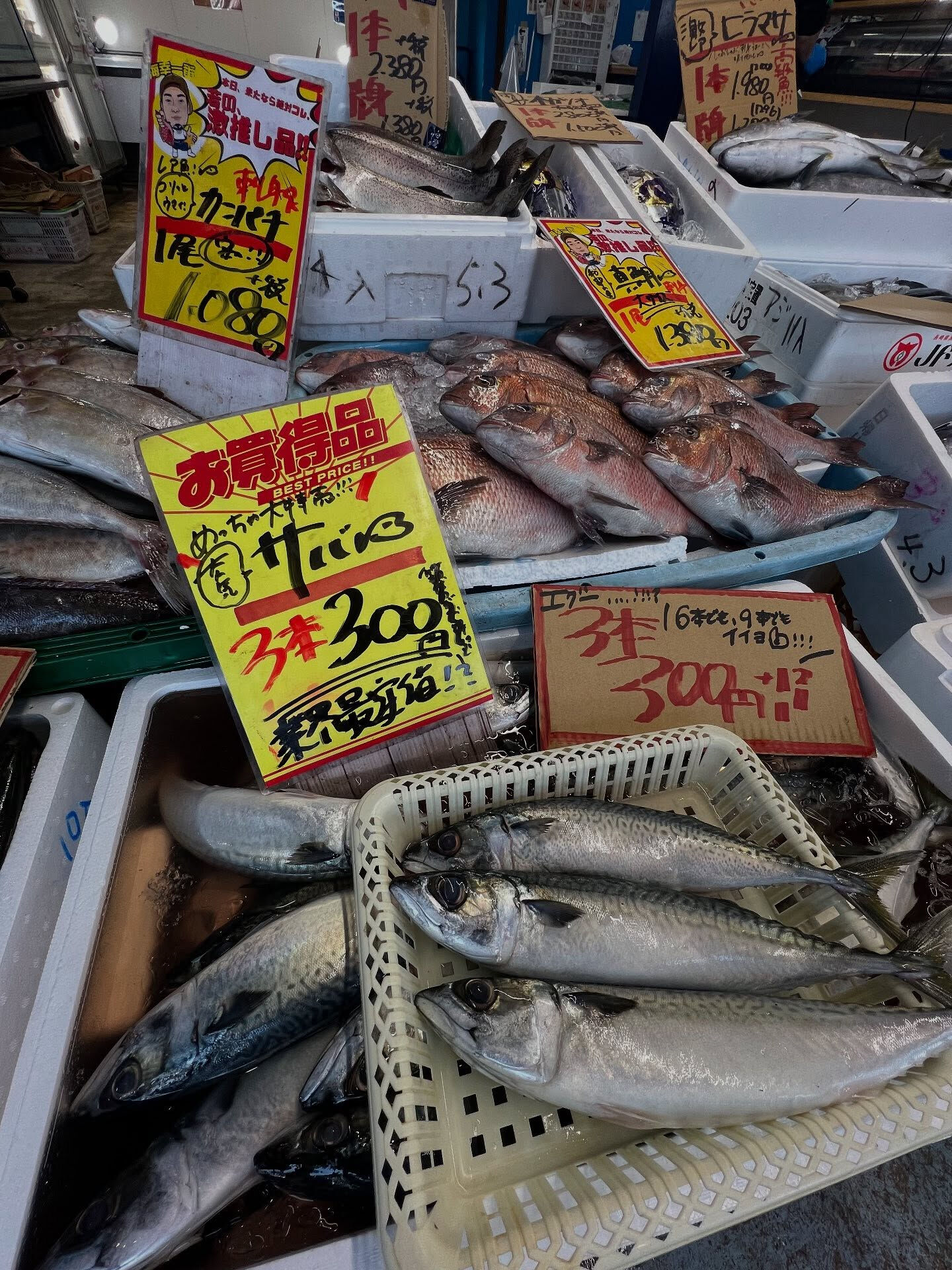 本日、日曜日も沢山の方ご来店頂き感謝です🙏