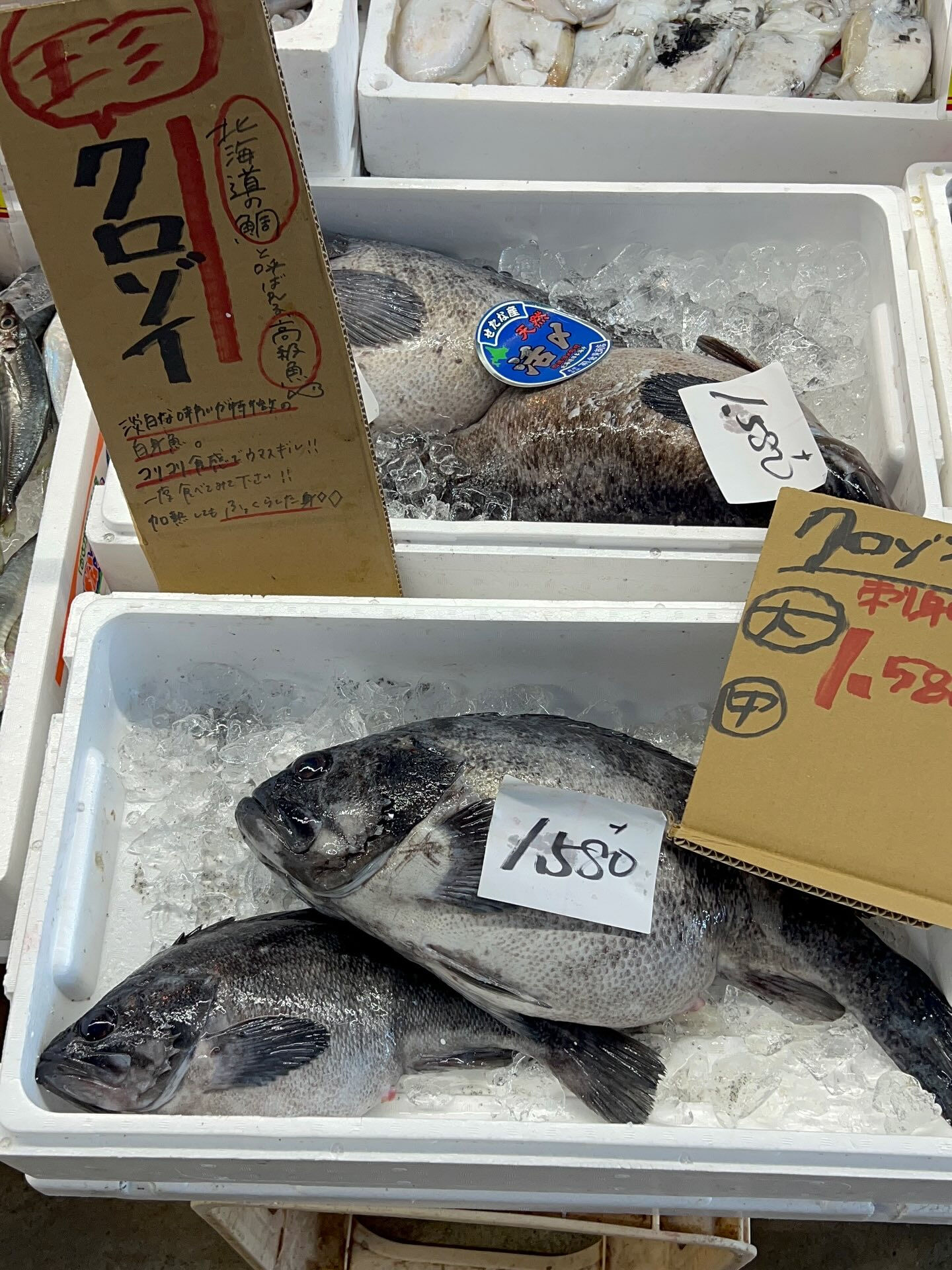 本日、日曜日も沢山の方ご来店頂き感謝です🙏