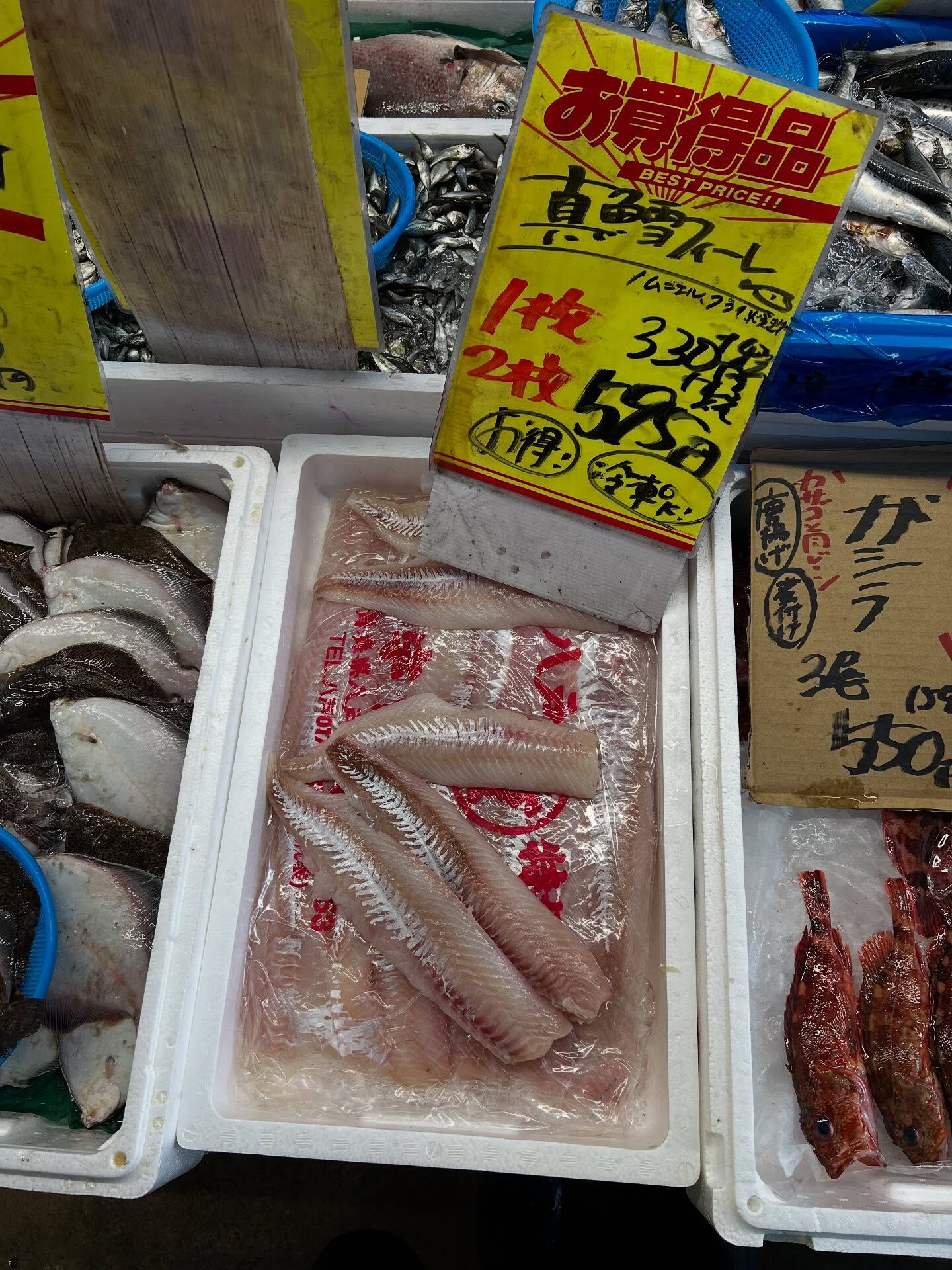 本日、日曜日も沢山の方ご来店頂き感謝です🙏