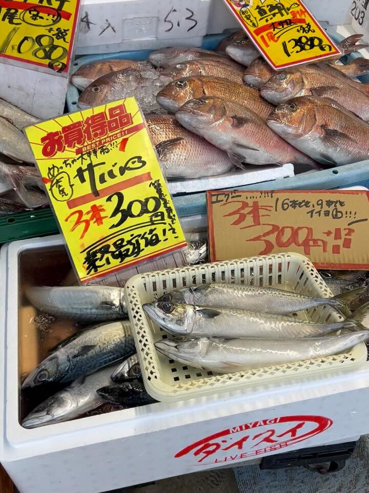 本日、日曜日も沢山の方ご来店頂き感謝です🙏