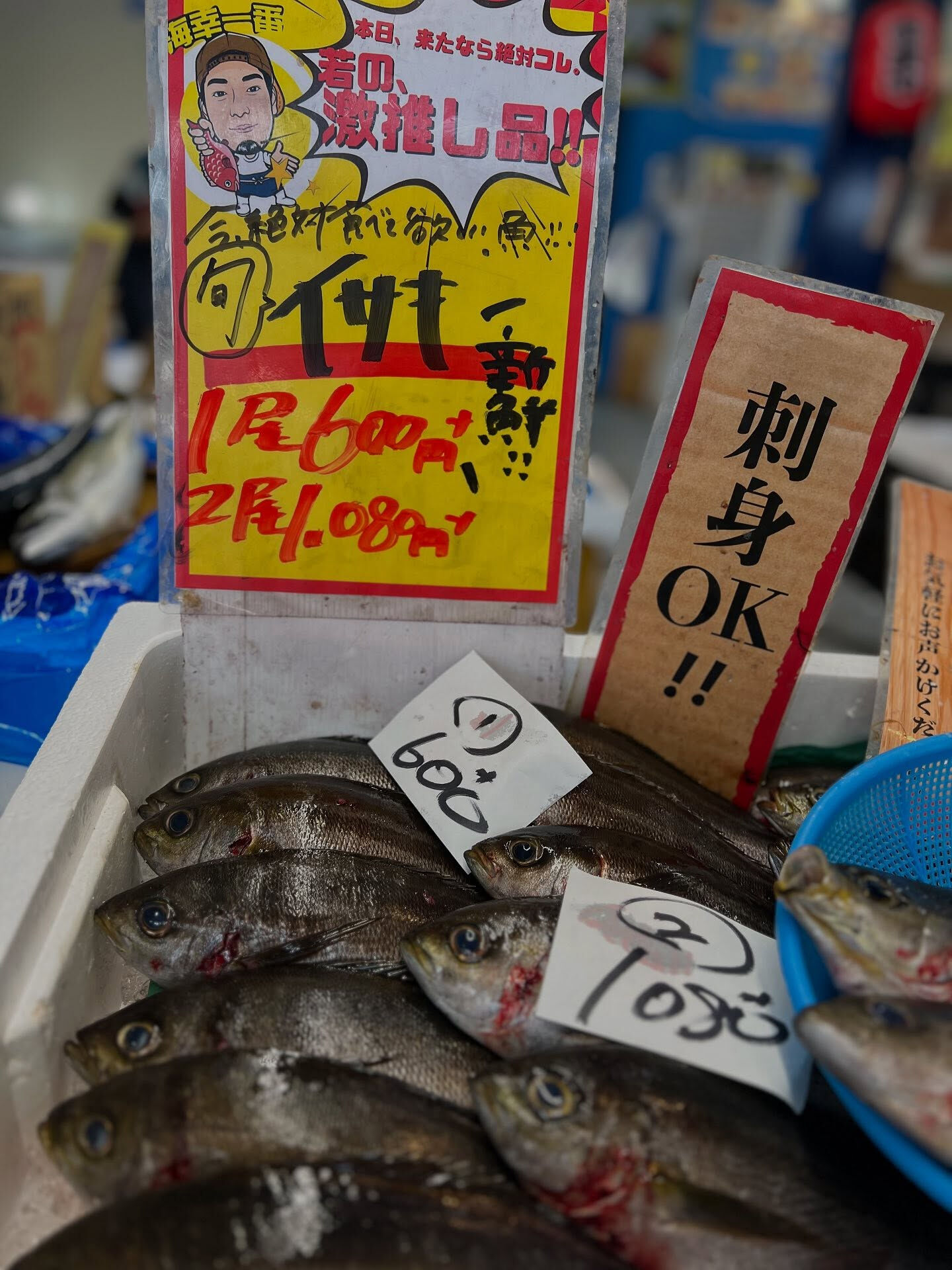 本日、月曜start🐟