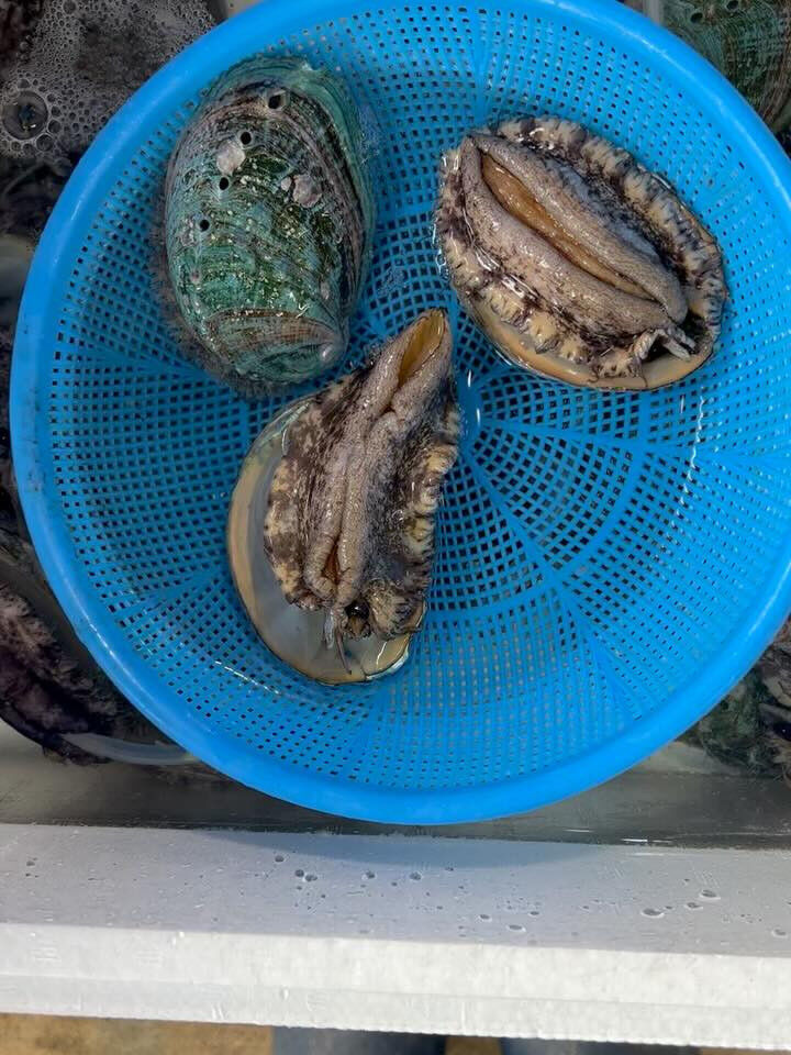 本日、月曜start🐟