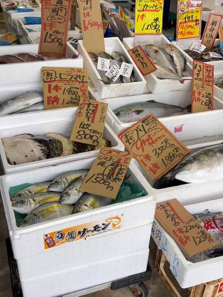 本日、月曜start🐟