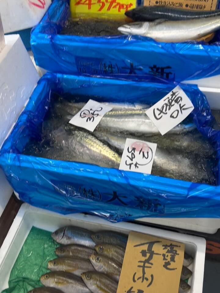 本日、月曜start🐟