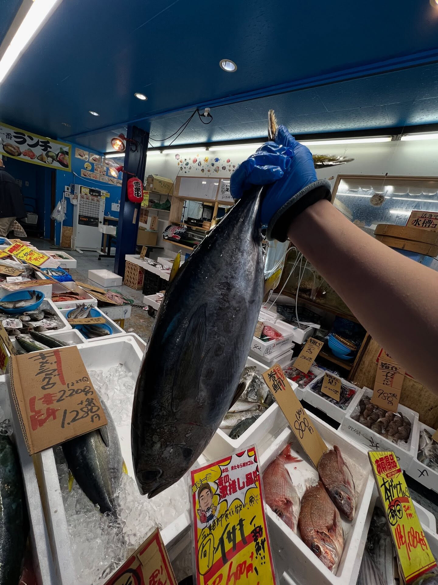 本日、火曜start🐟