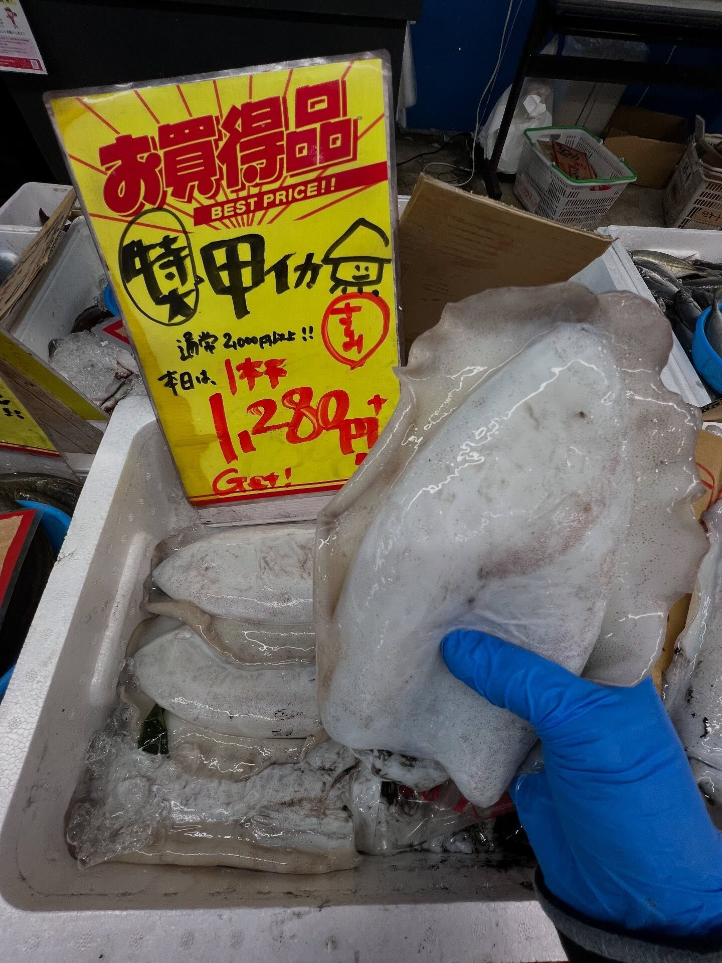 本日、火曜start🐟