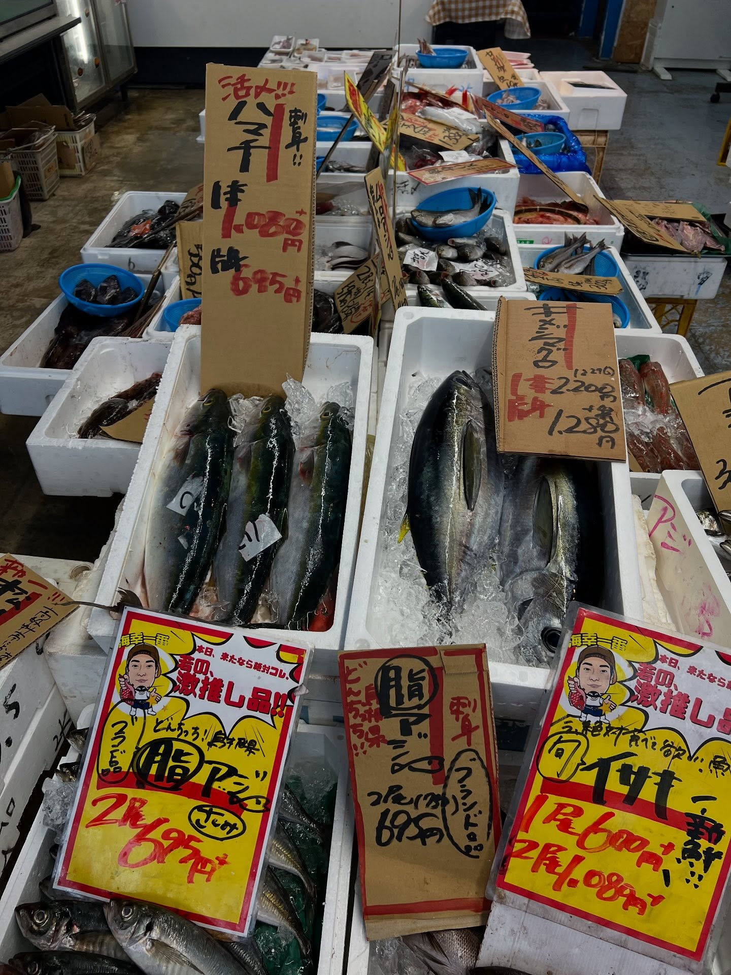 本日、火曜start🐟