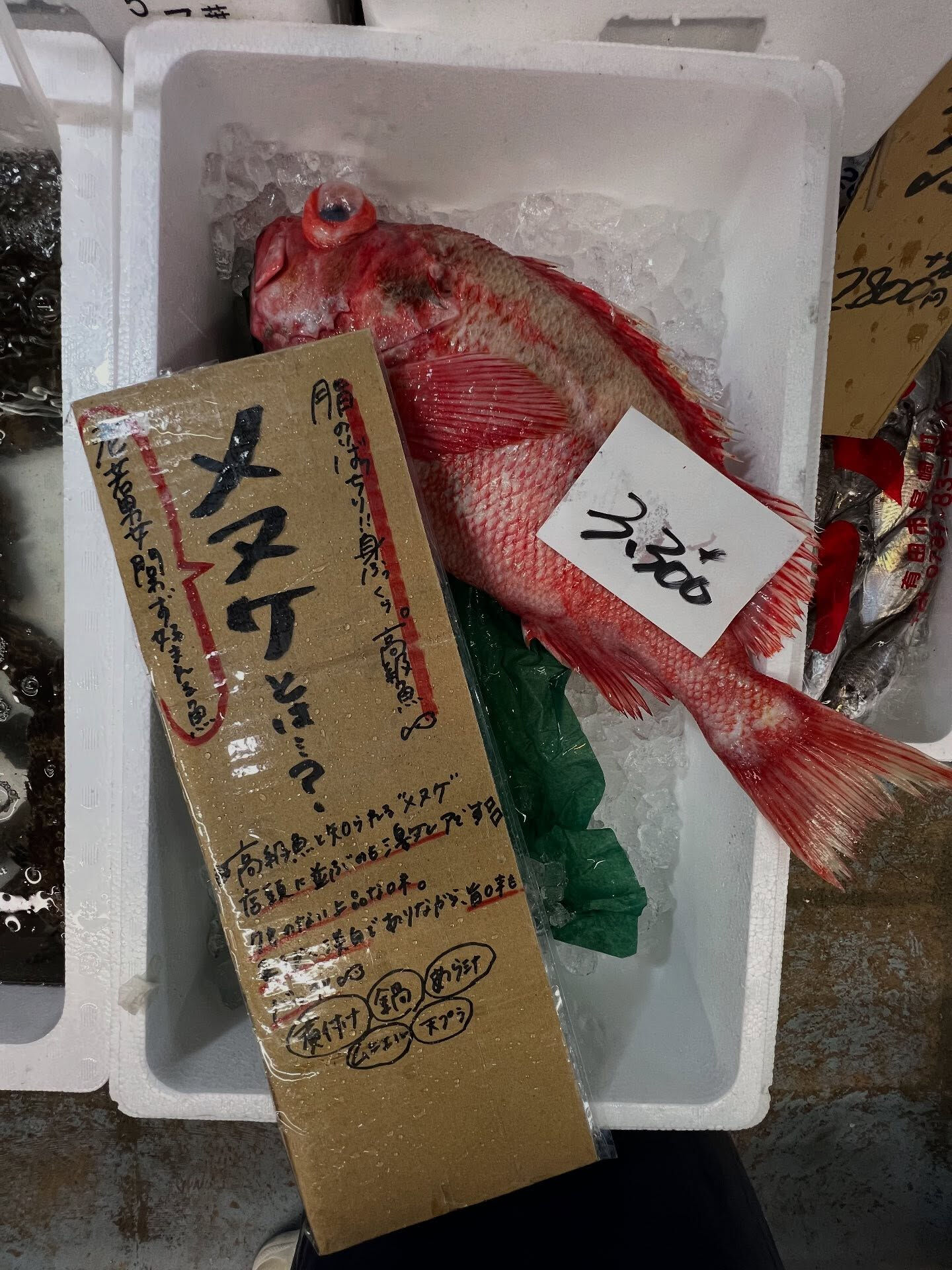 本日、火曜start🐟