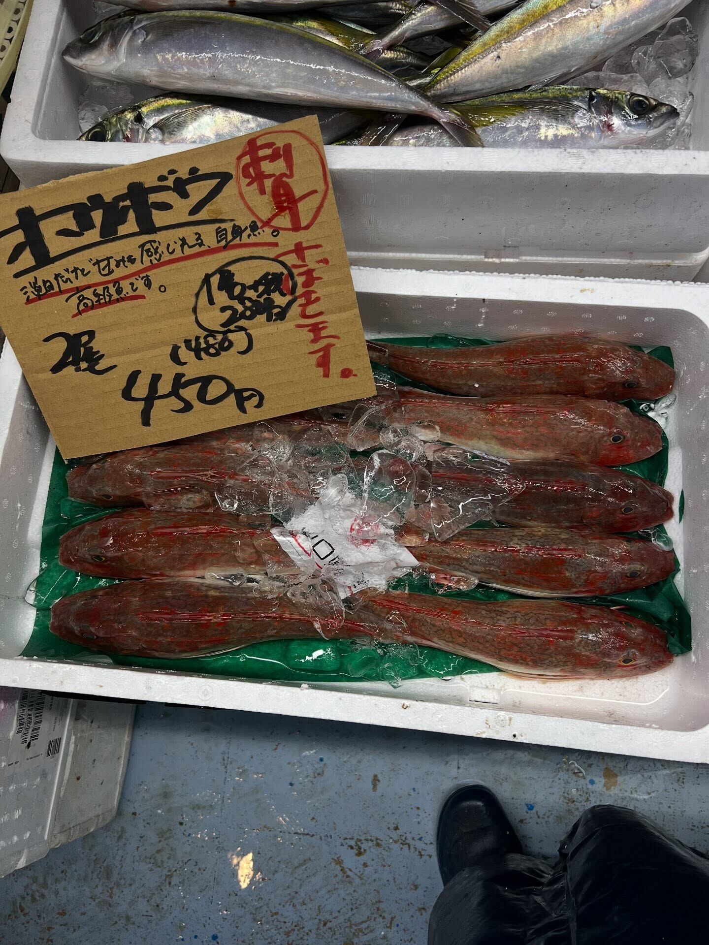 本日、火曜start🐟