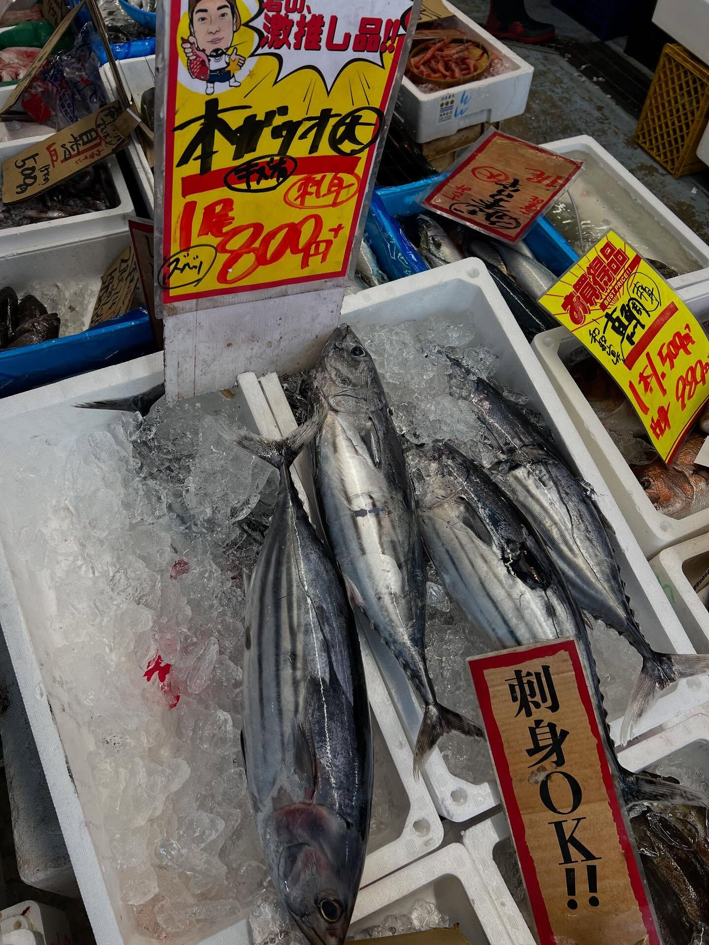 本日、木曜日start🐟