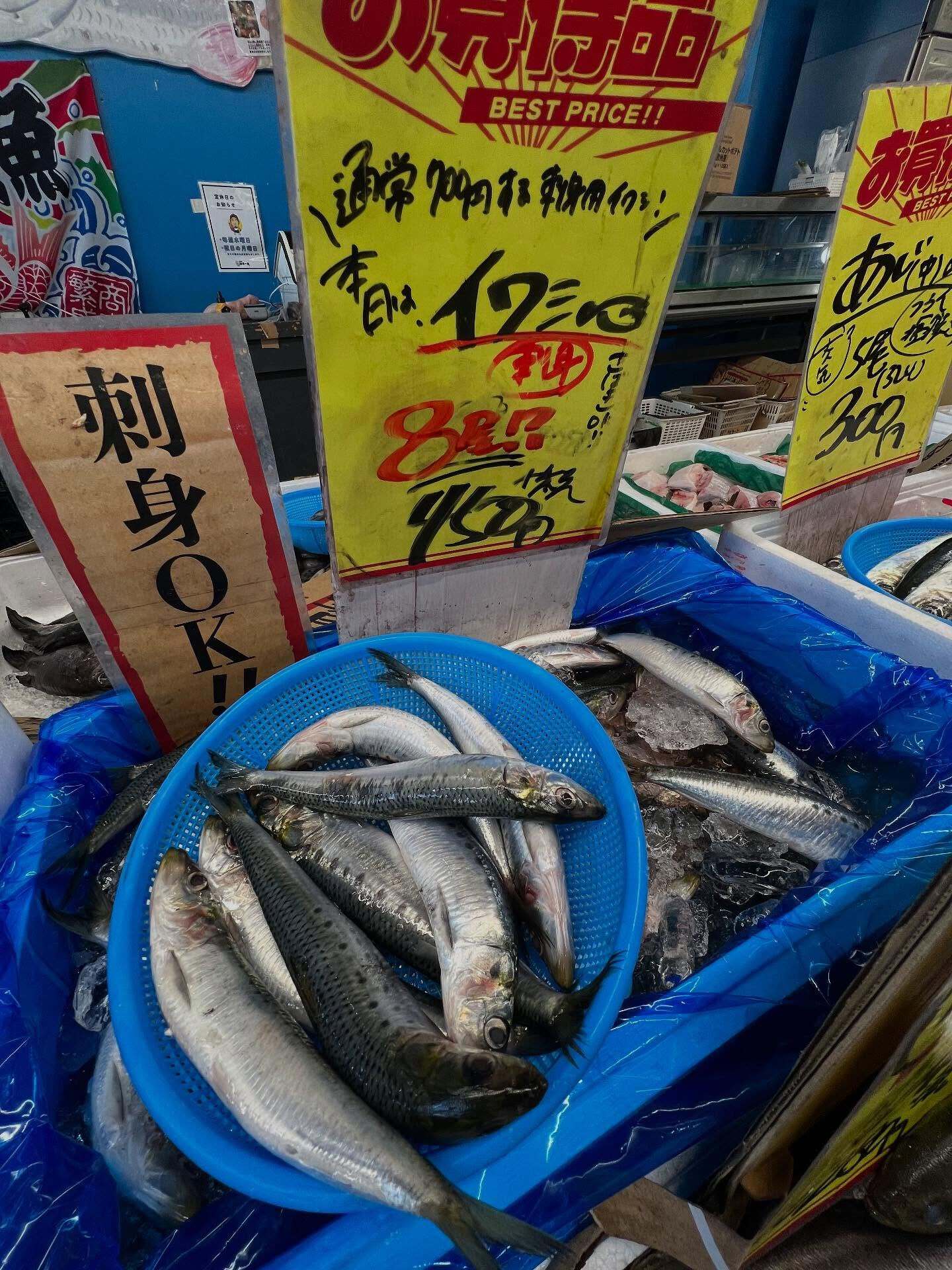 本日、木曜日start🐟