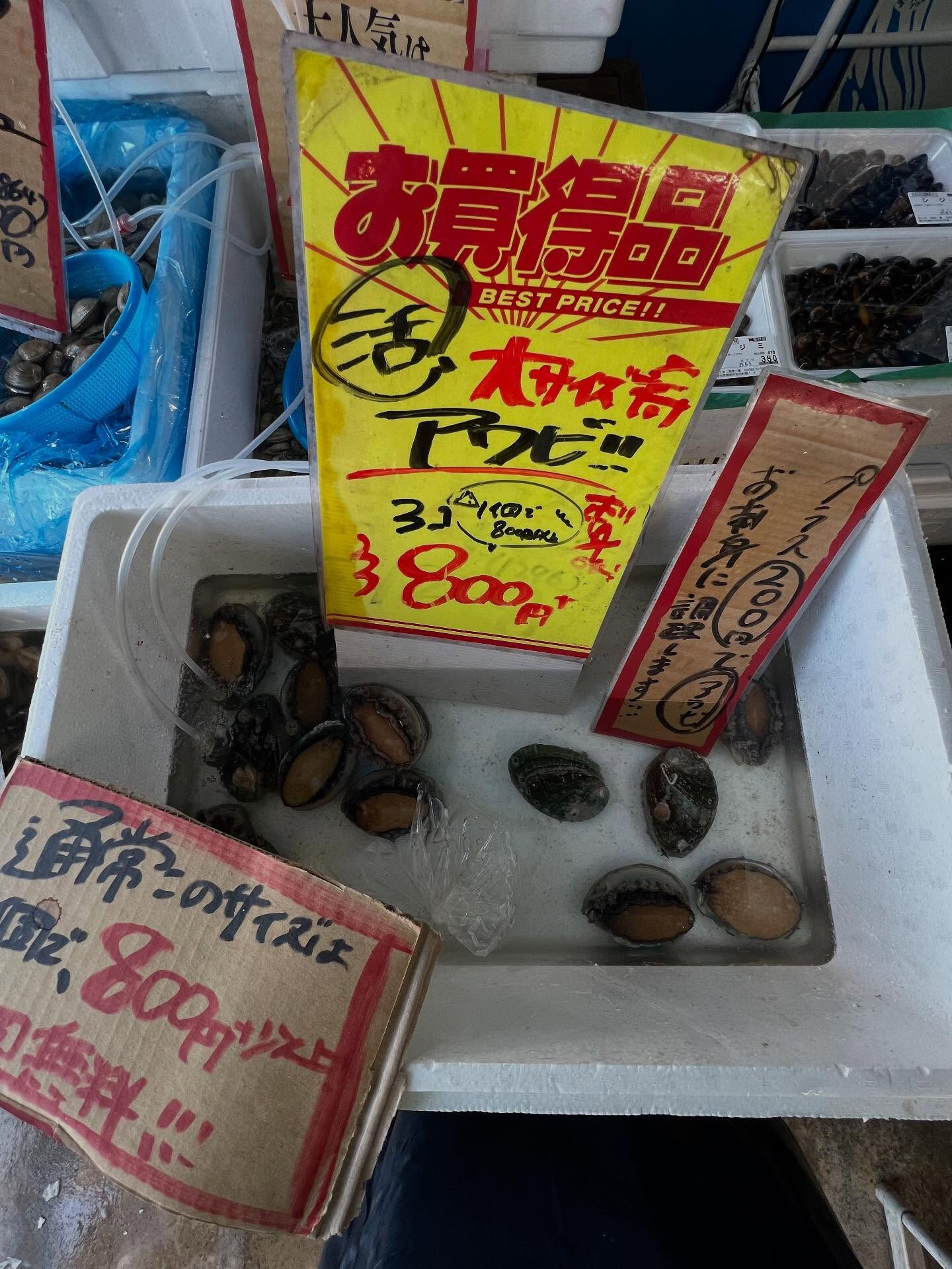 本日、木曜日start🐟