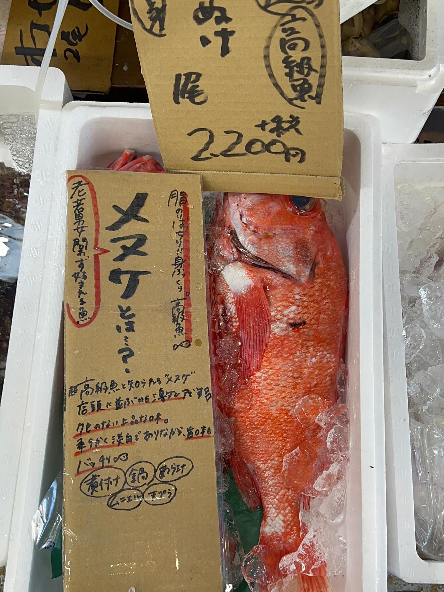 本日、木曜日start🐟