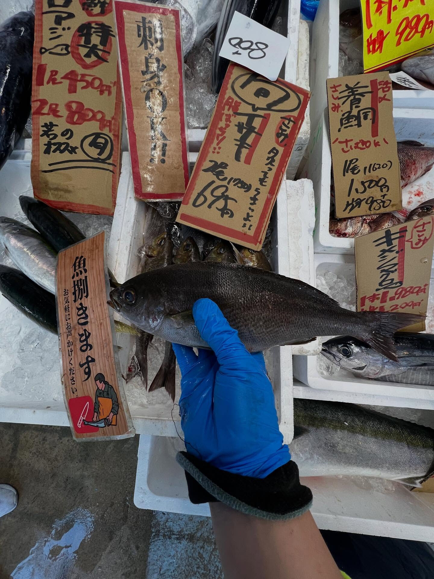 本日、木曜日start🐟