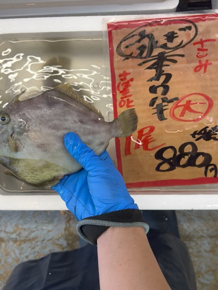 本日、木曜日start🐟