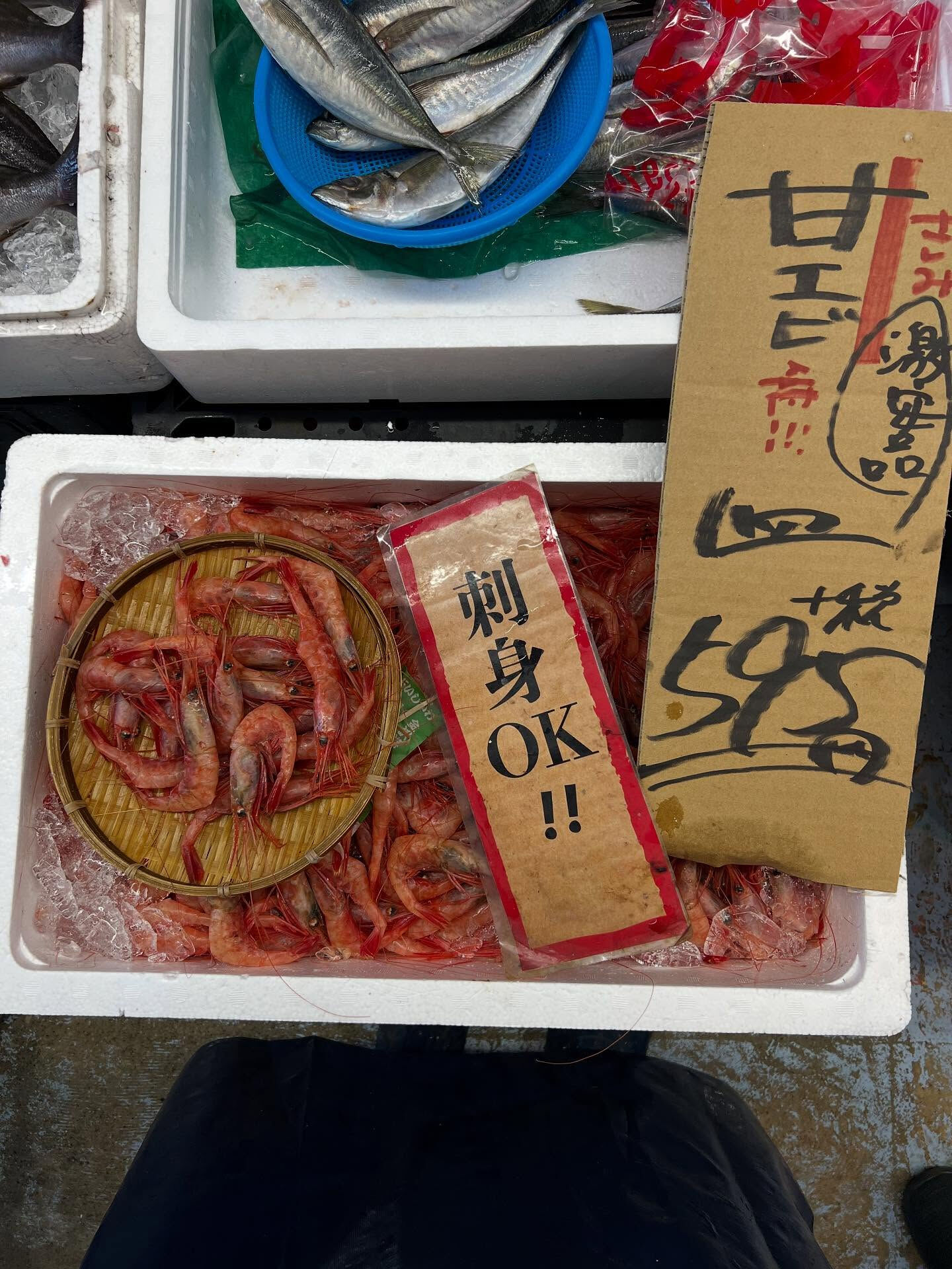 本日、木曜日start🐟