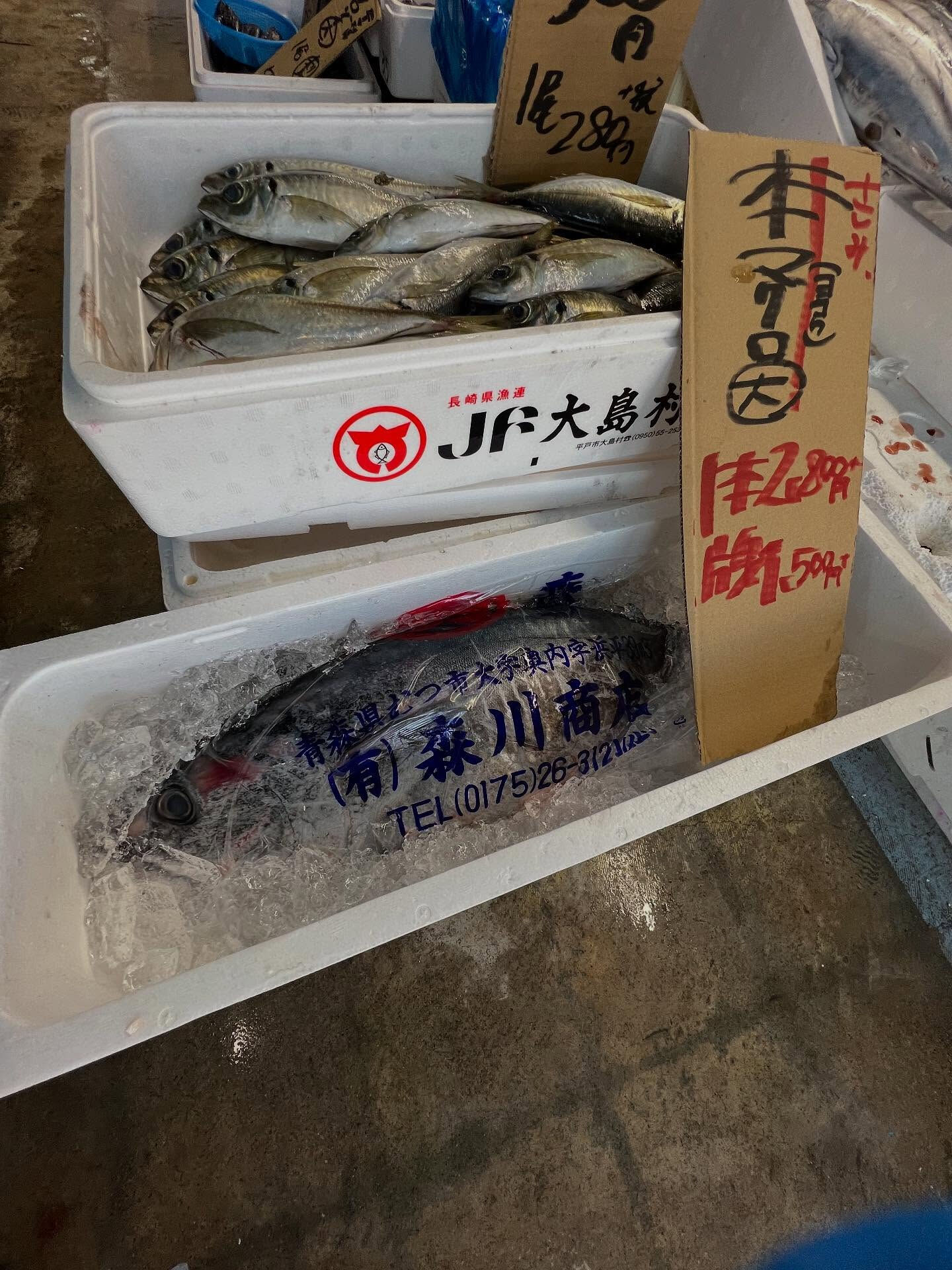 本日、木曜日start🐟
