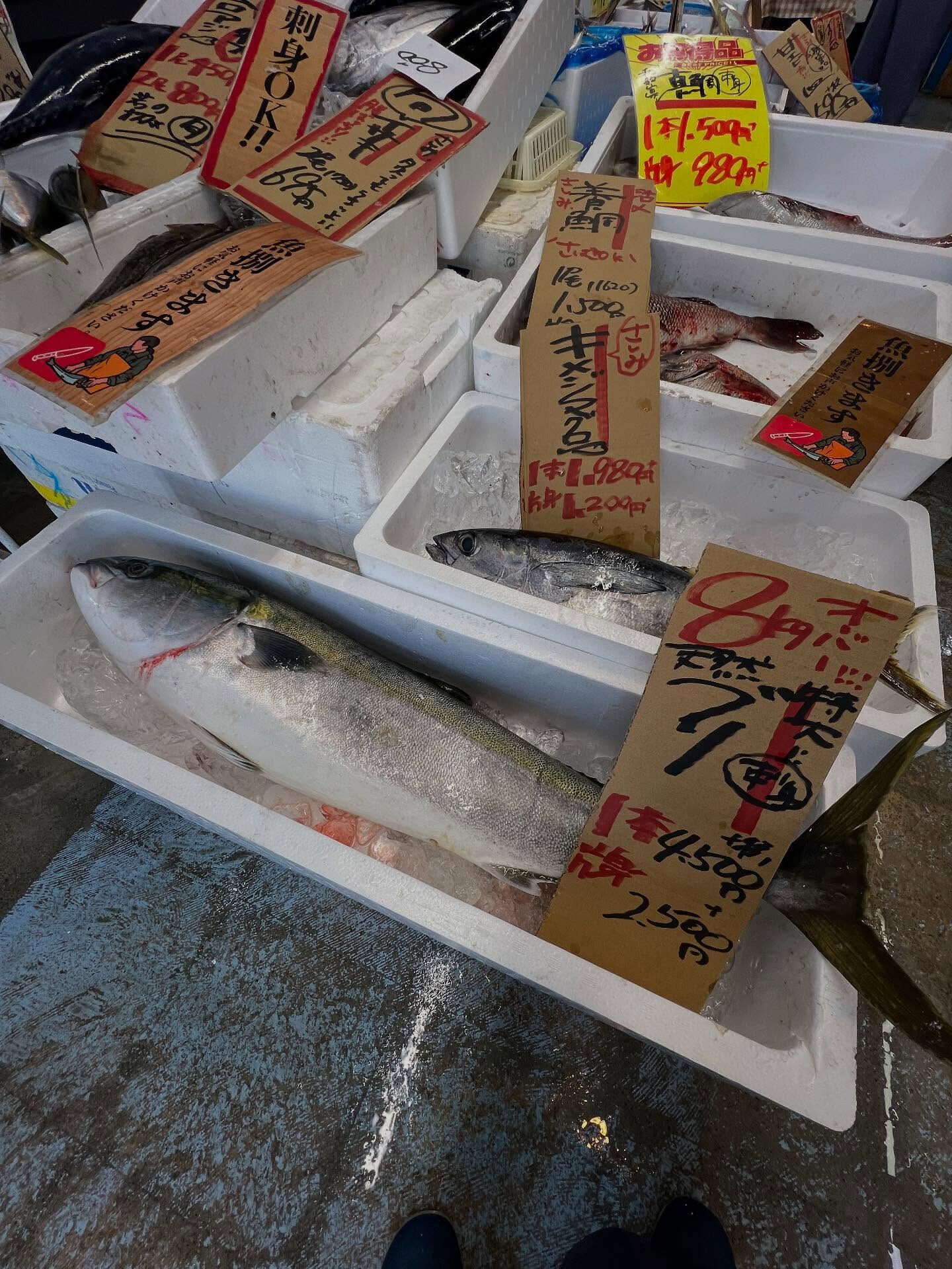 本日、木曜日start🐟