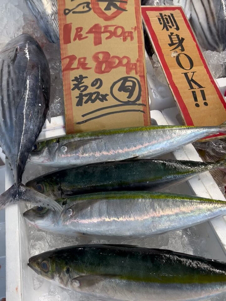 本日、木曜日start🐟