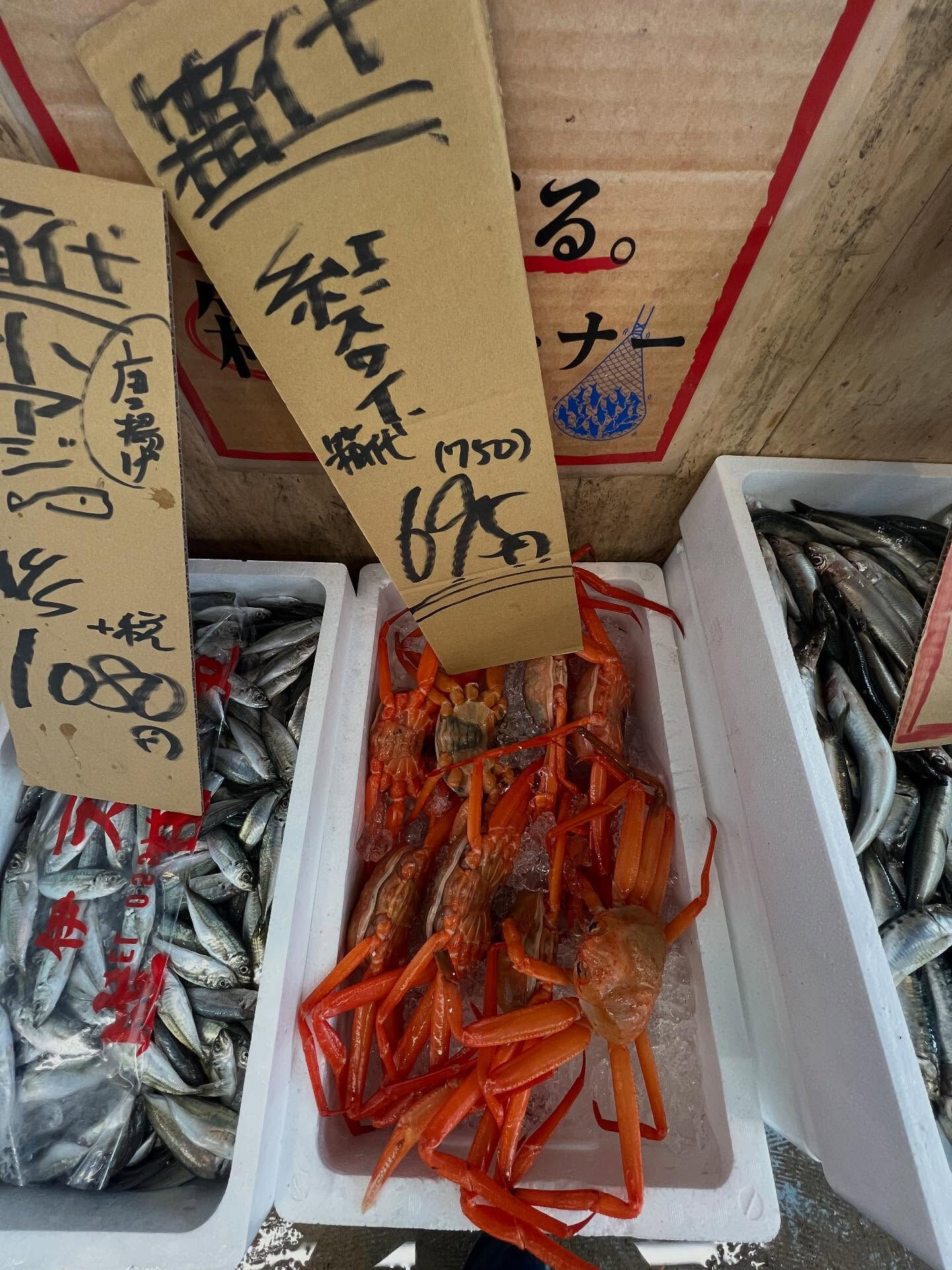 本日、木曜日start🐟