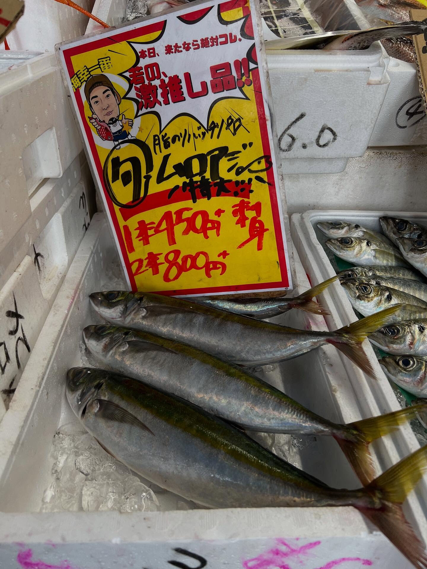 本日、木曜日start🐟