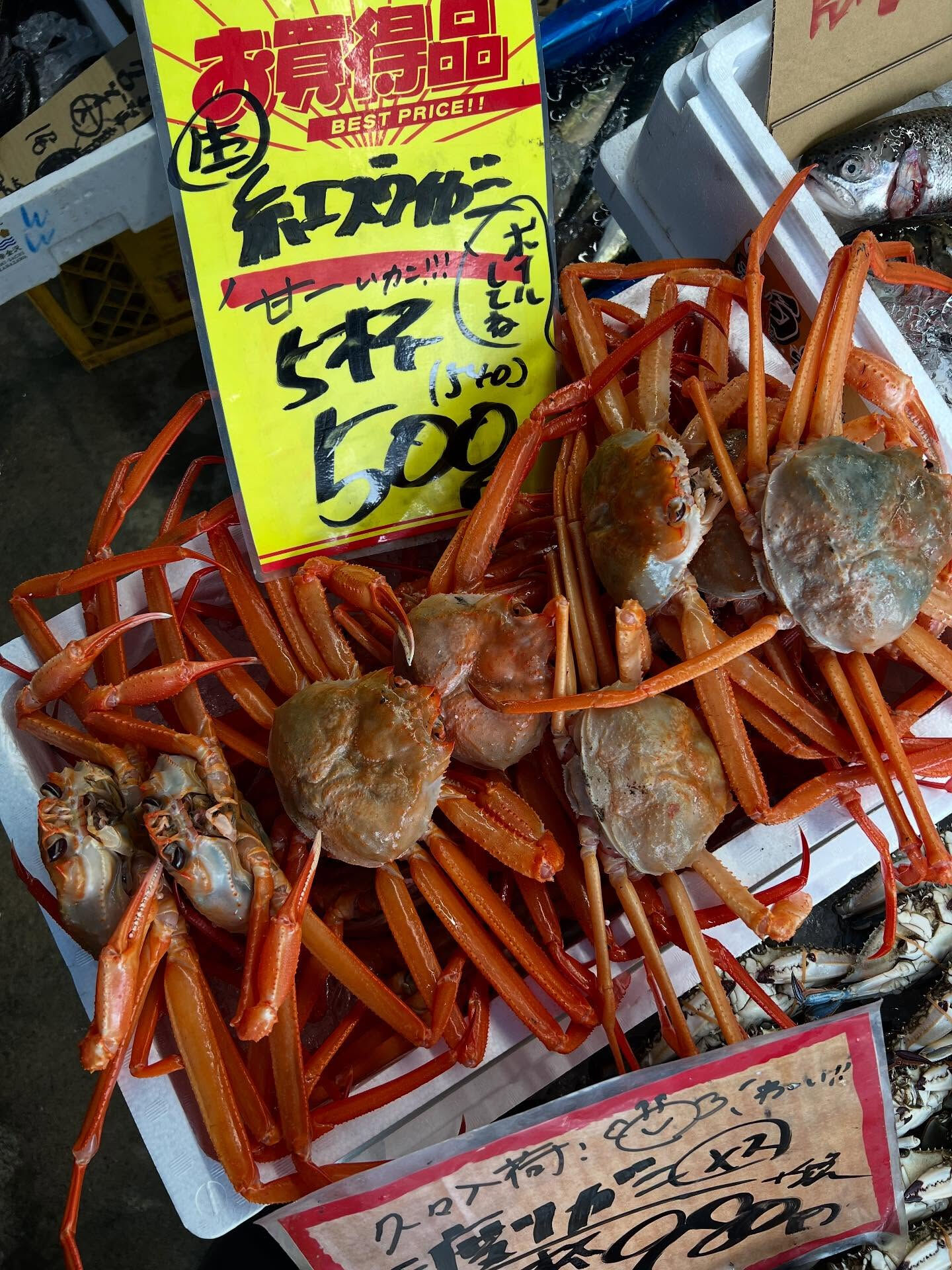 本日、木曜日start🐟