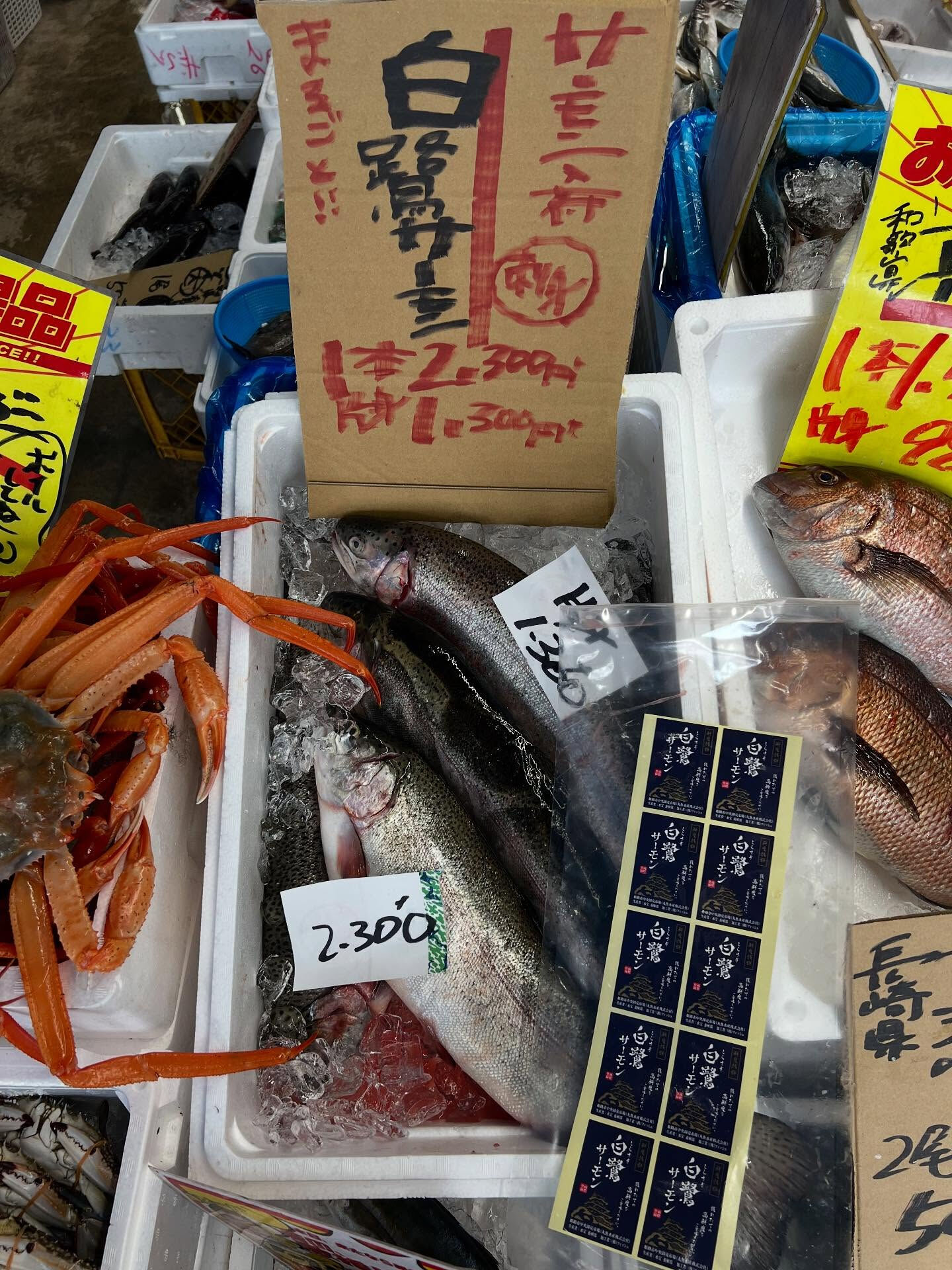 本日、木曜日start🐟