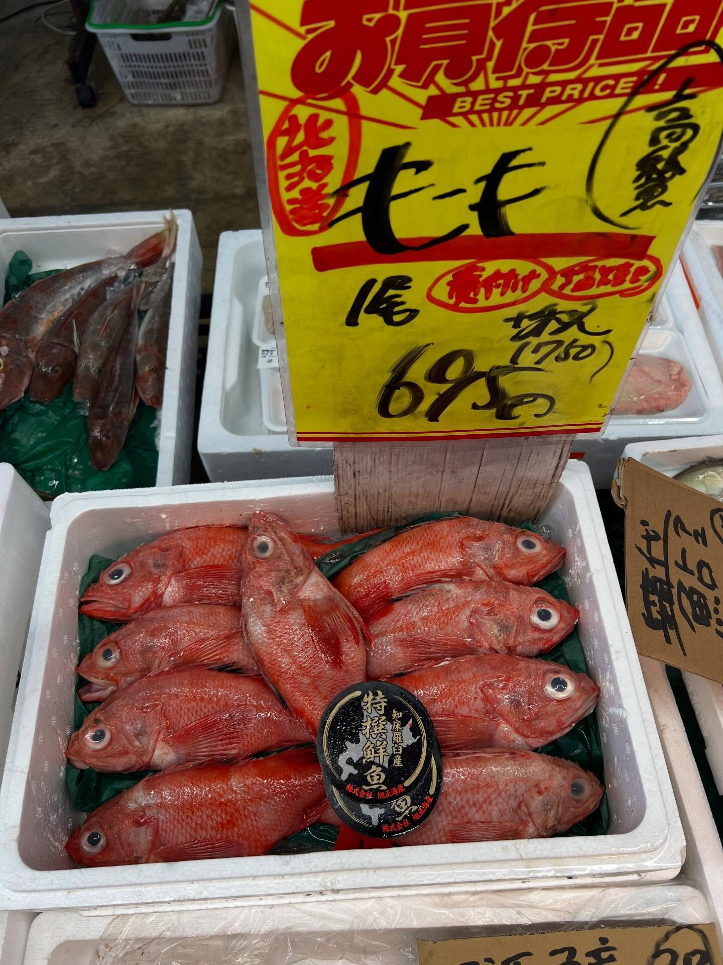 本日、木曜日start🐟