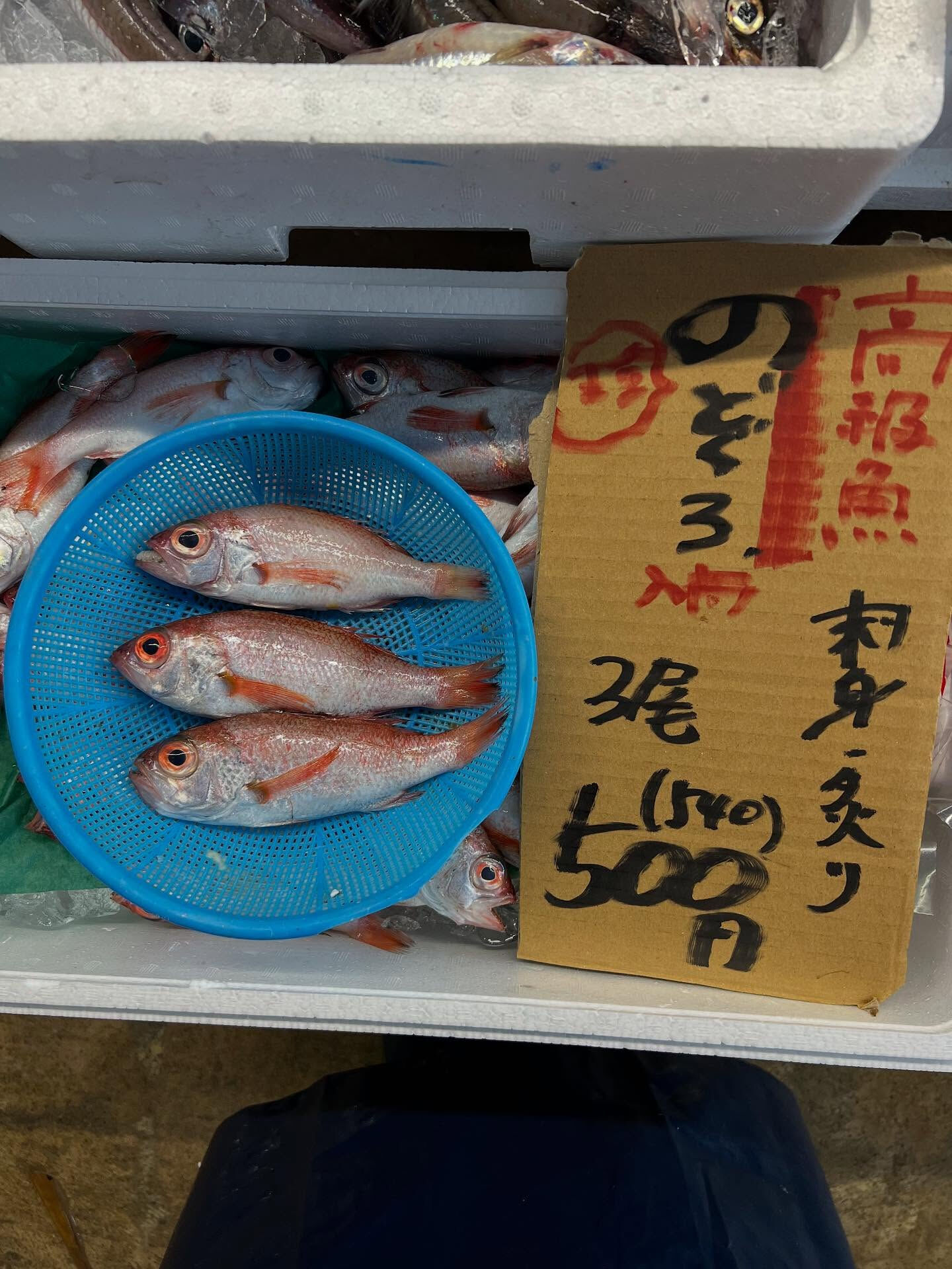 本日、木曜日start🐟
