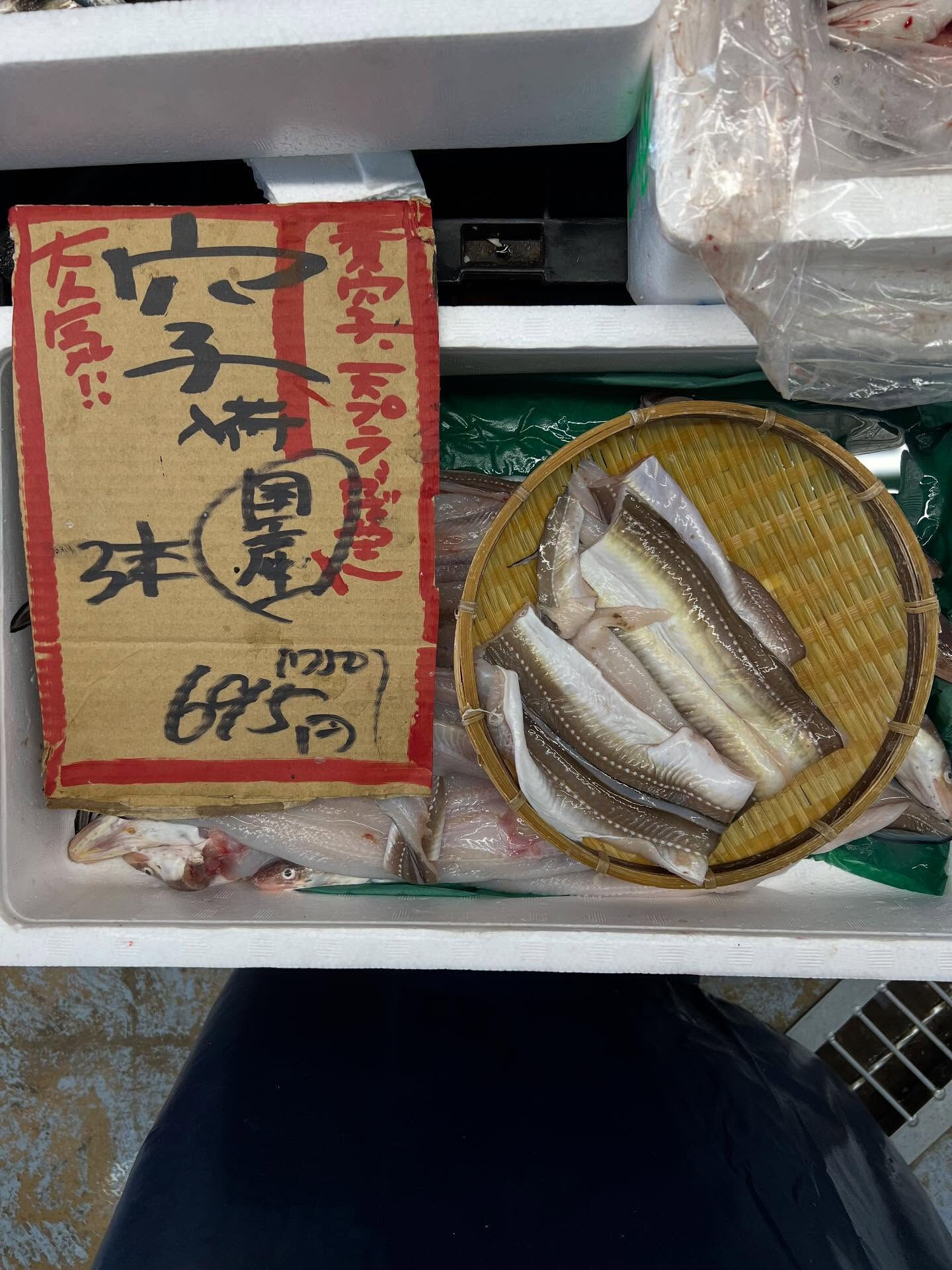 本日、木曜日start🐟