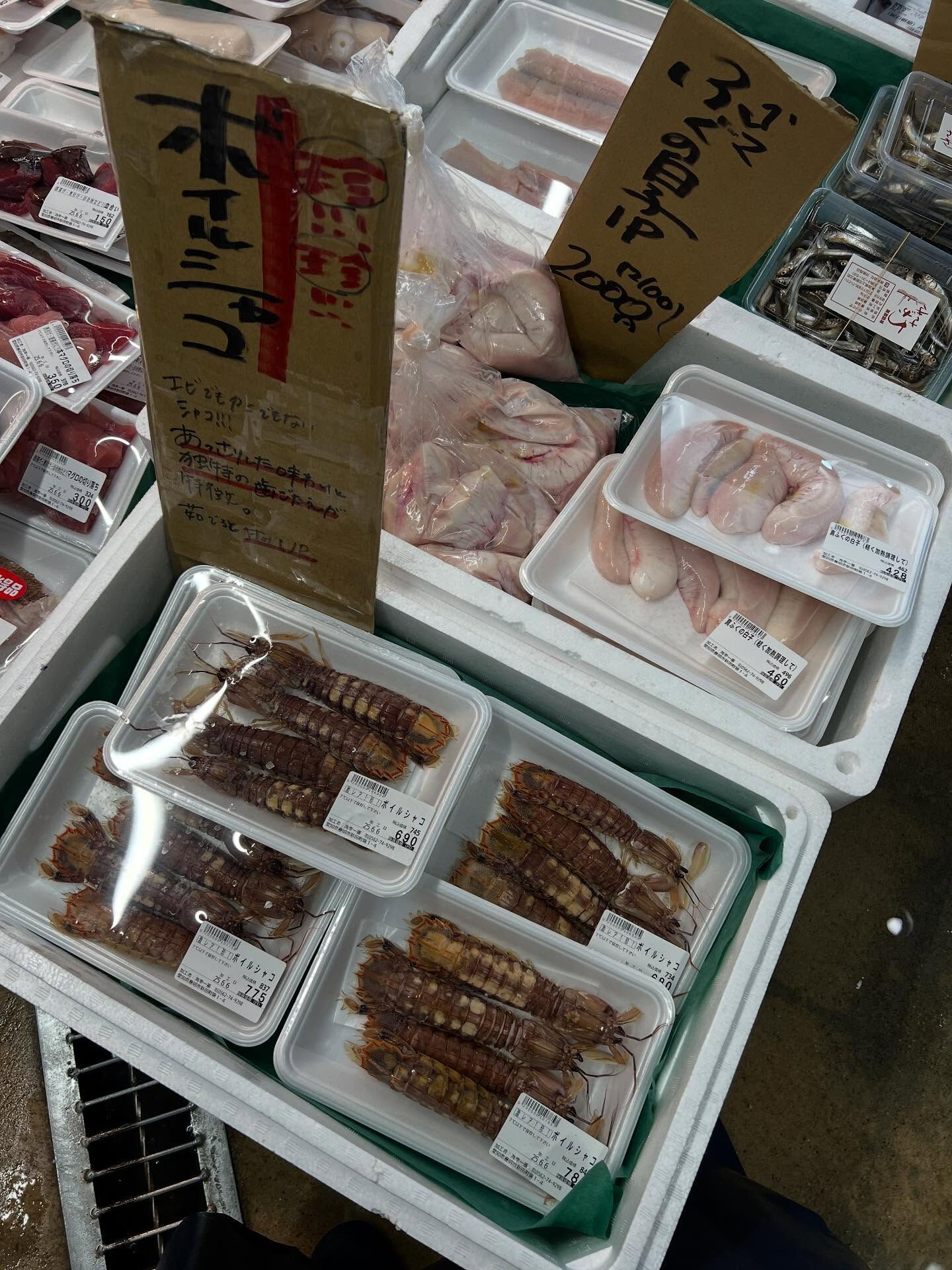 本日、木曜日start🐟