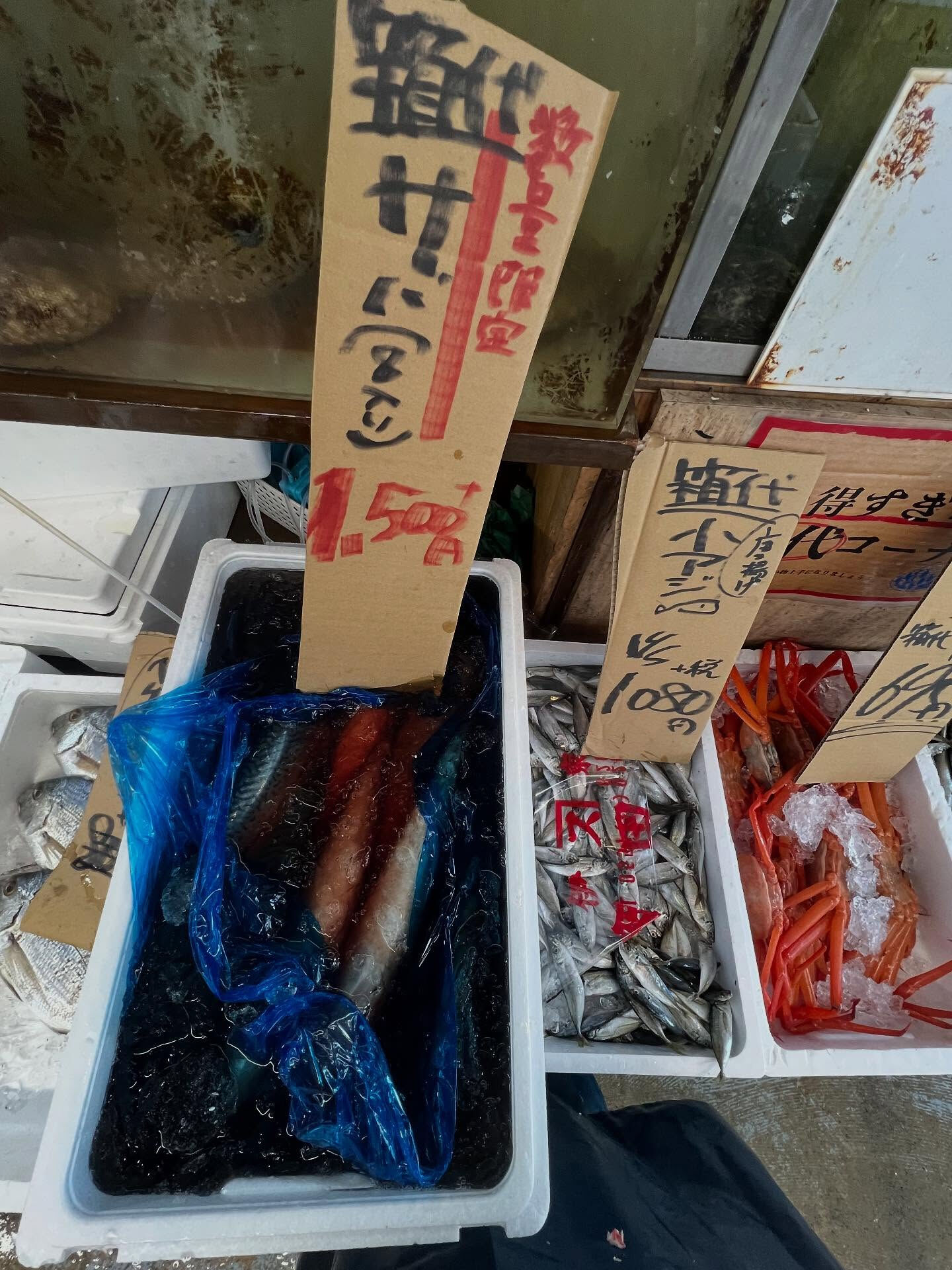 本日、木曜日start🐟