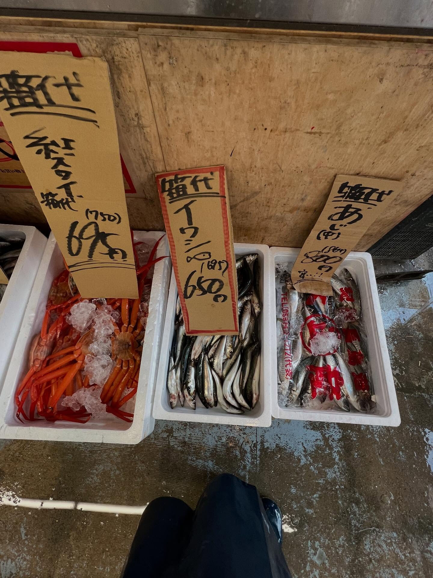 本日、木曜日start🐟