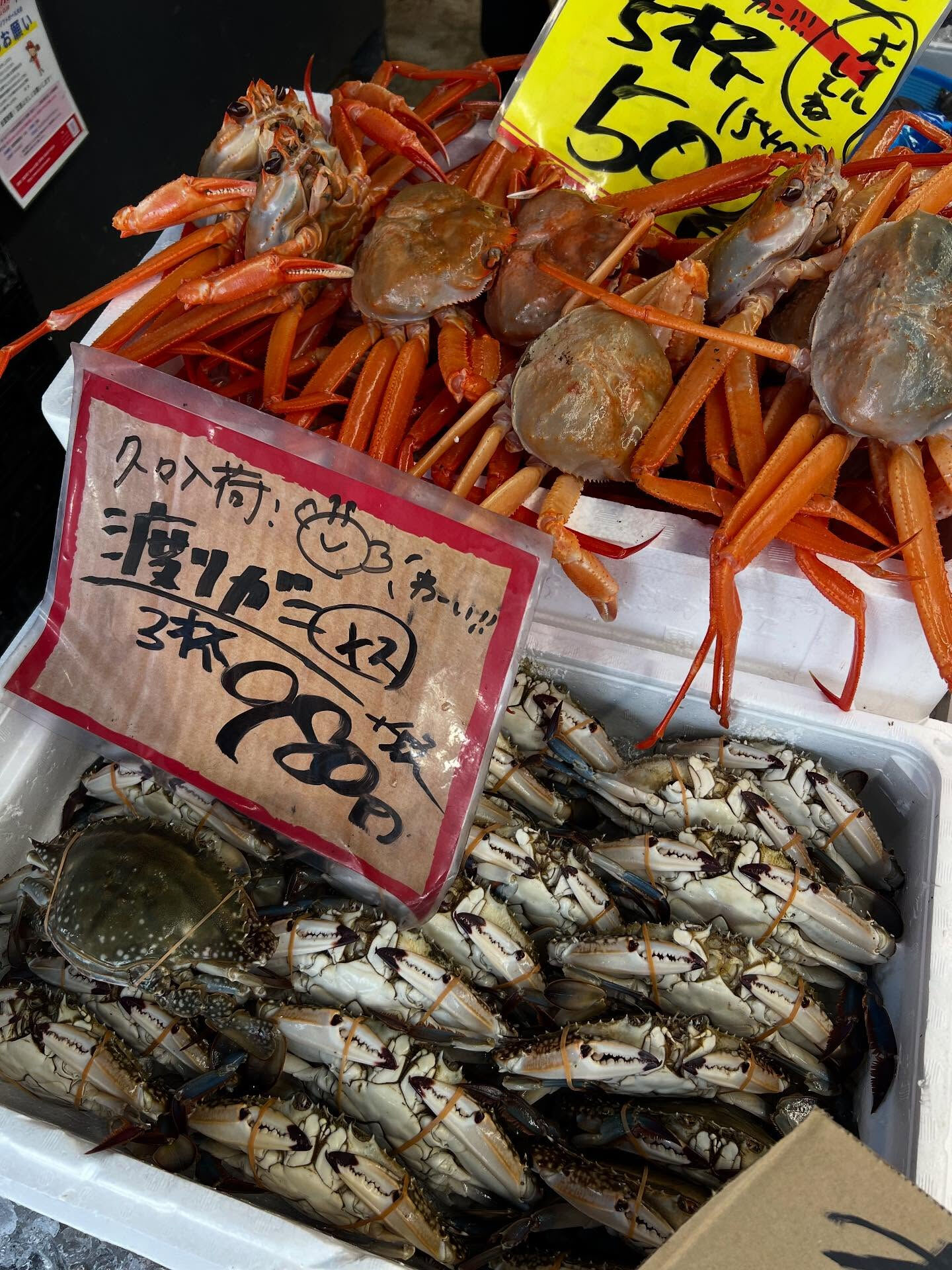 本日、木曜日start🐟