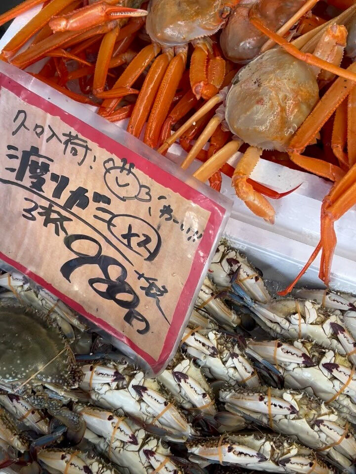 本日、木曜日start🐟