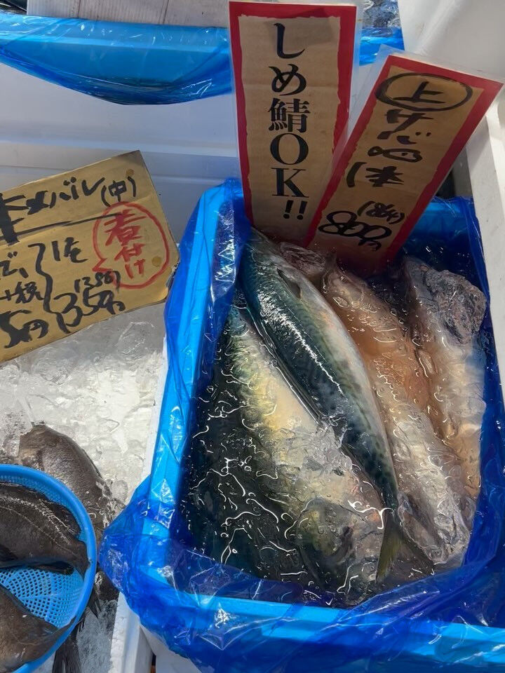 本日、木曜日start🐟