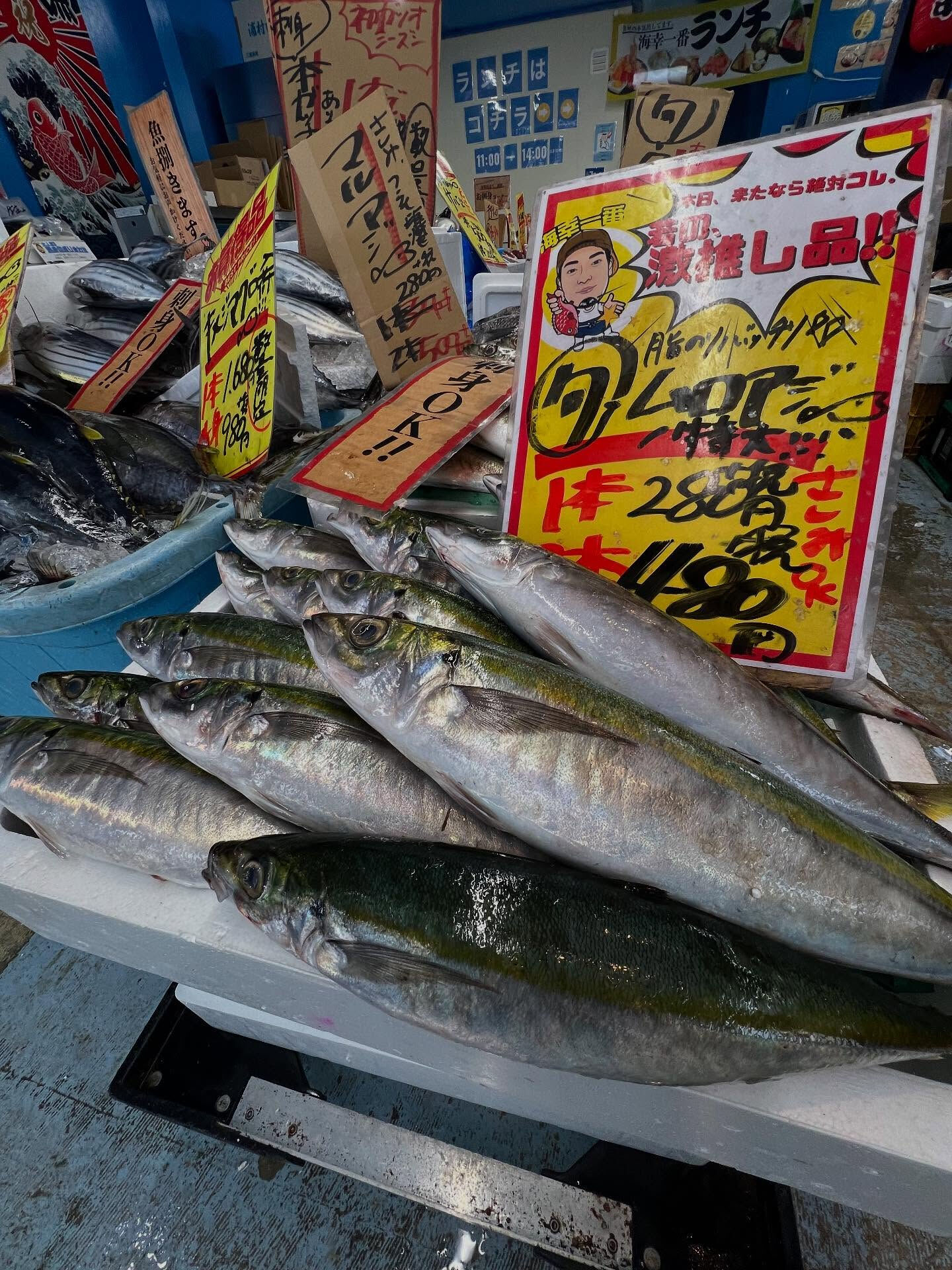 本日、日曜start🐟