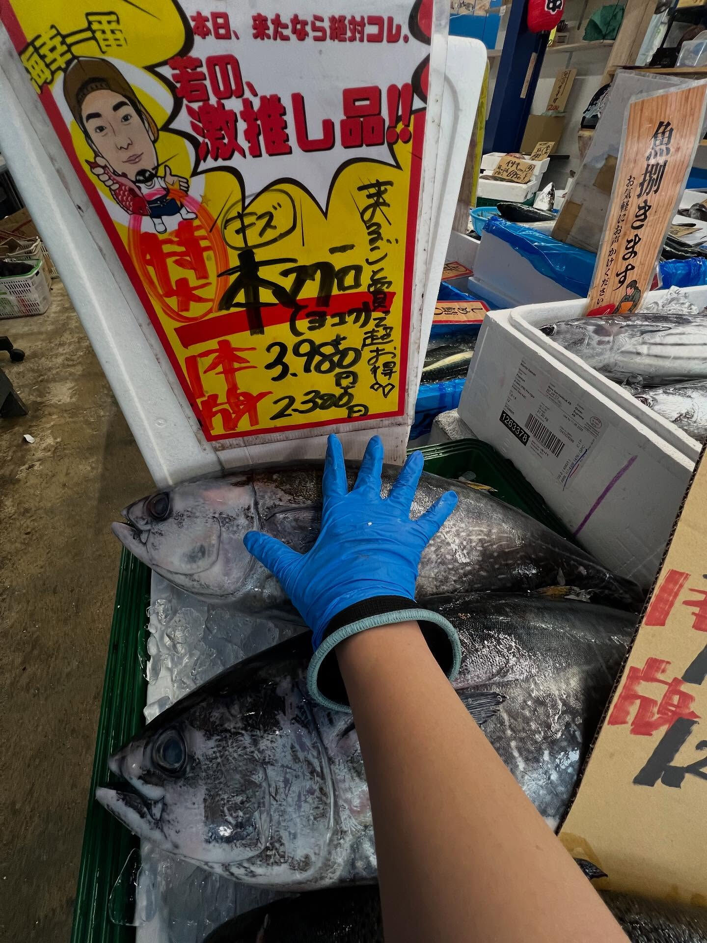 本日、日曜start🐟