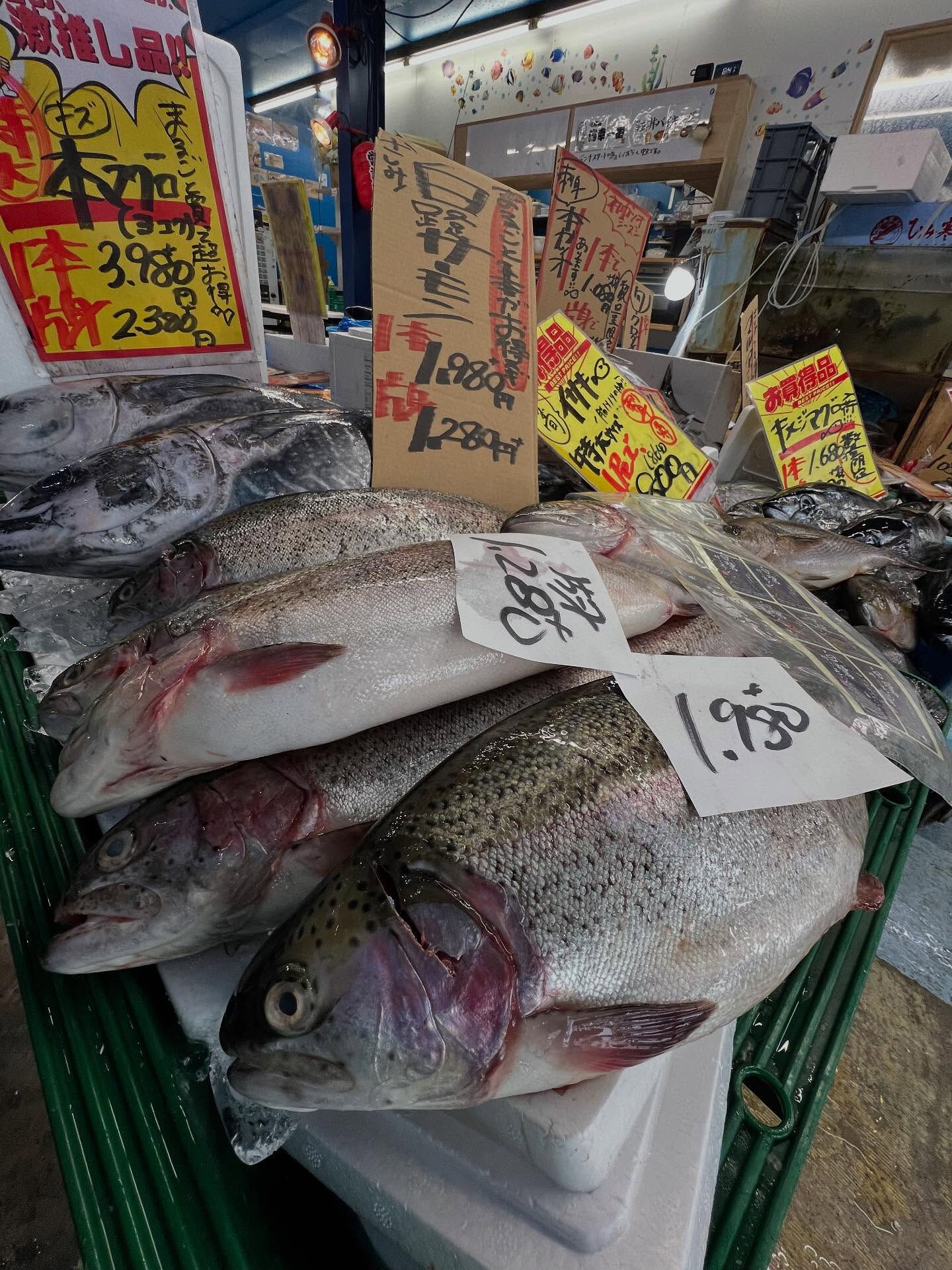 本日、日曜start🐟