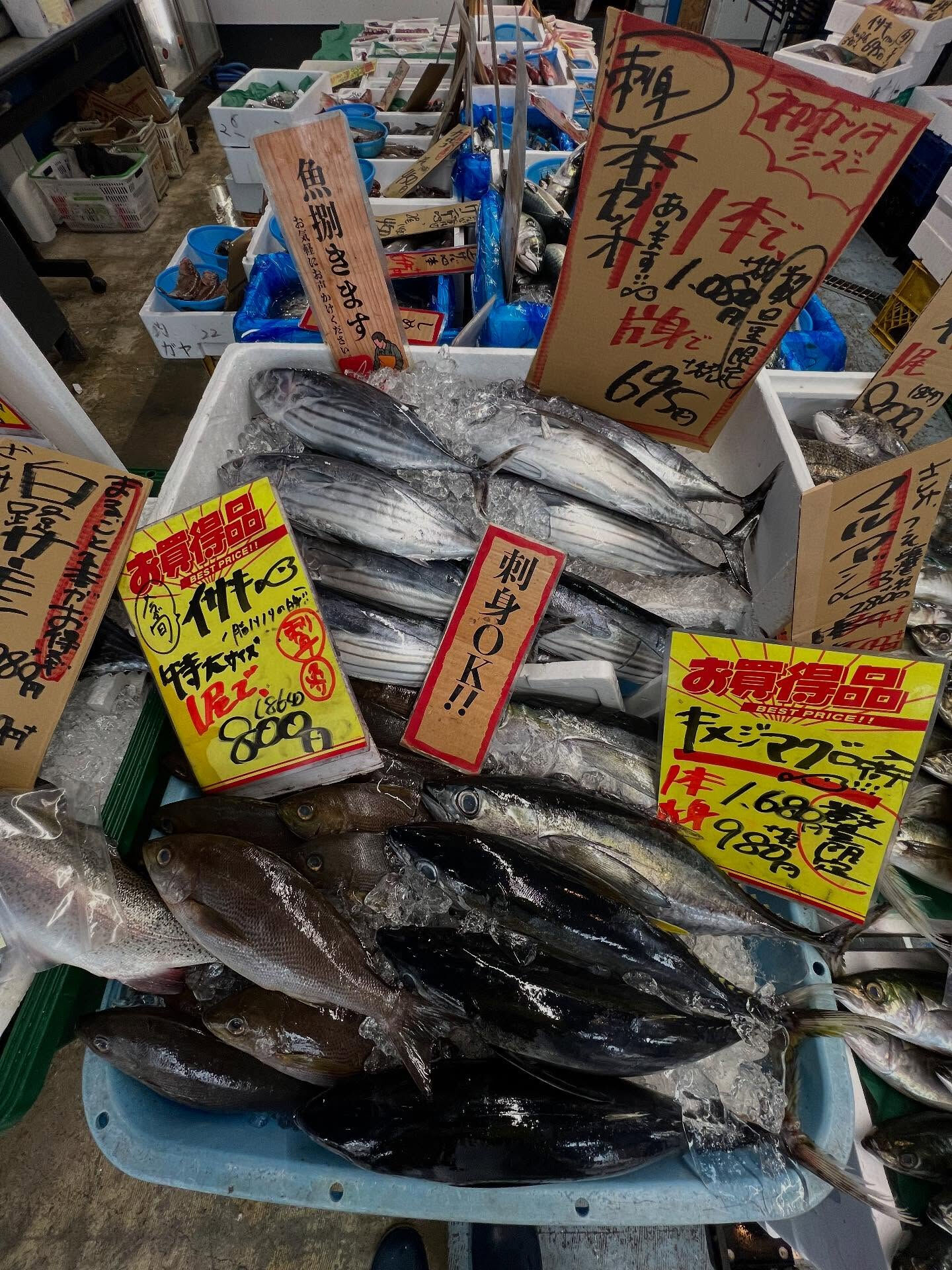本日、日曜start🐟