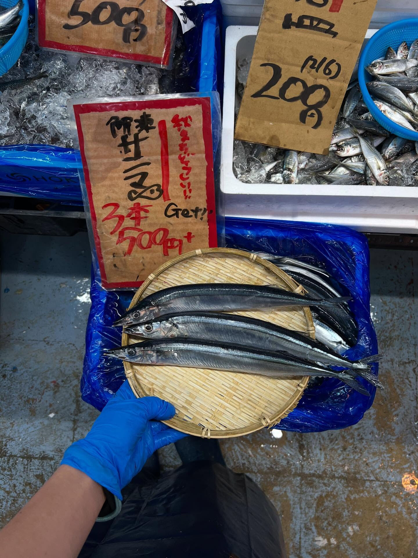 本日、日曜start🐟