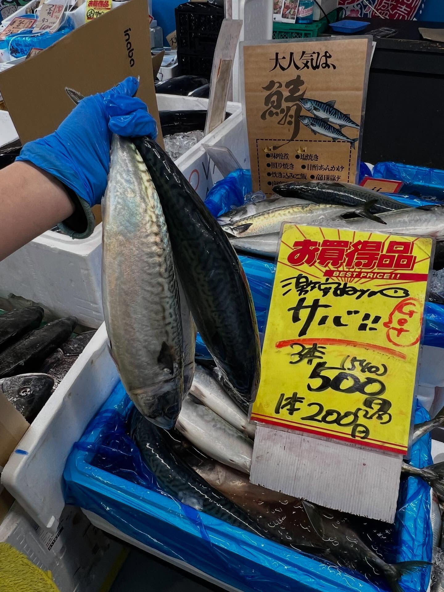 本日、日曜start🐟