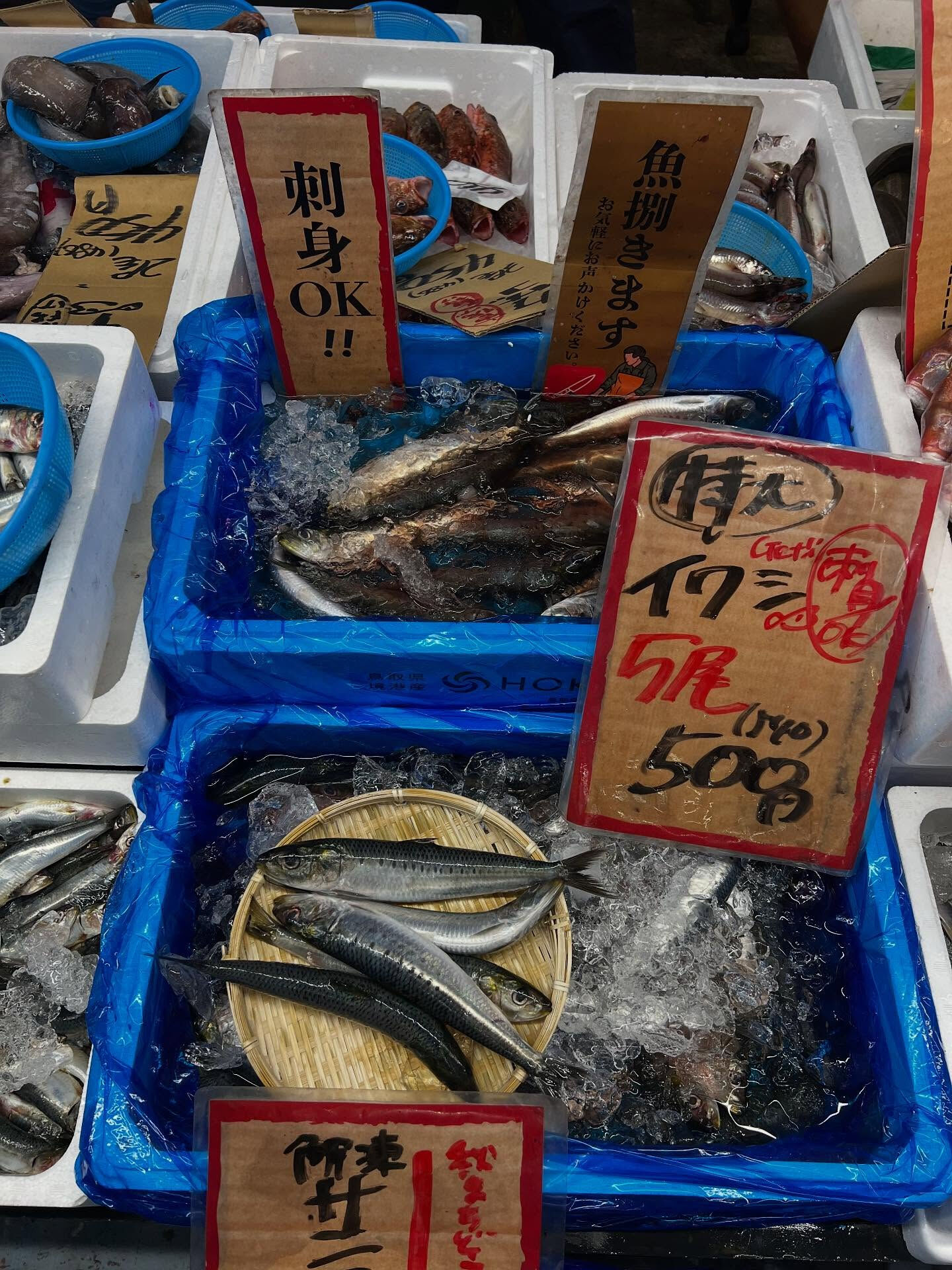 本日、日曜start🐟