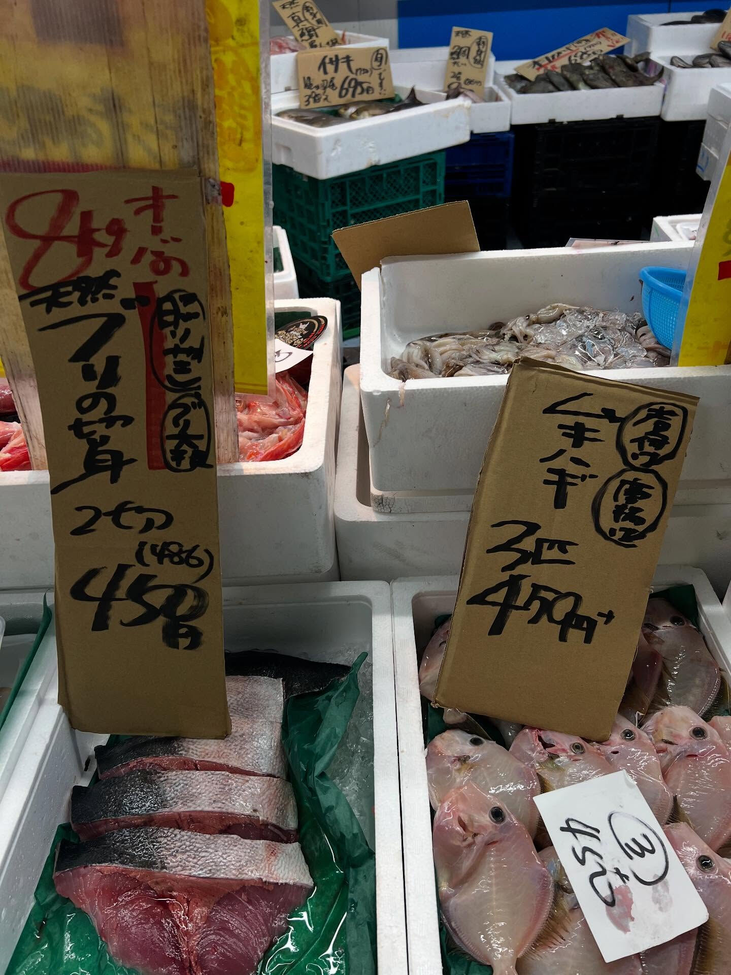 本日、日曜start🐟